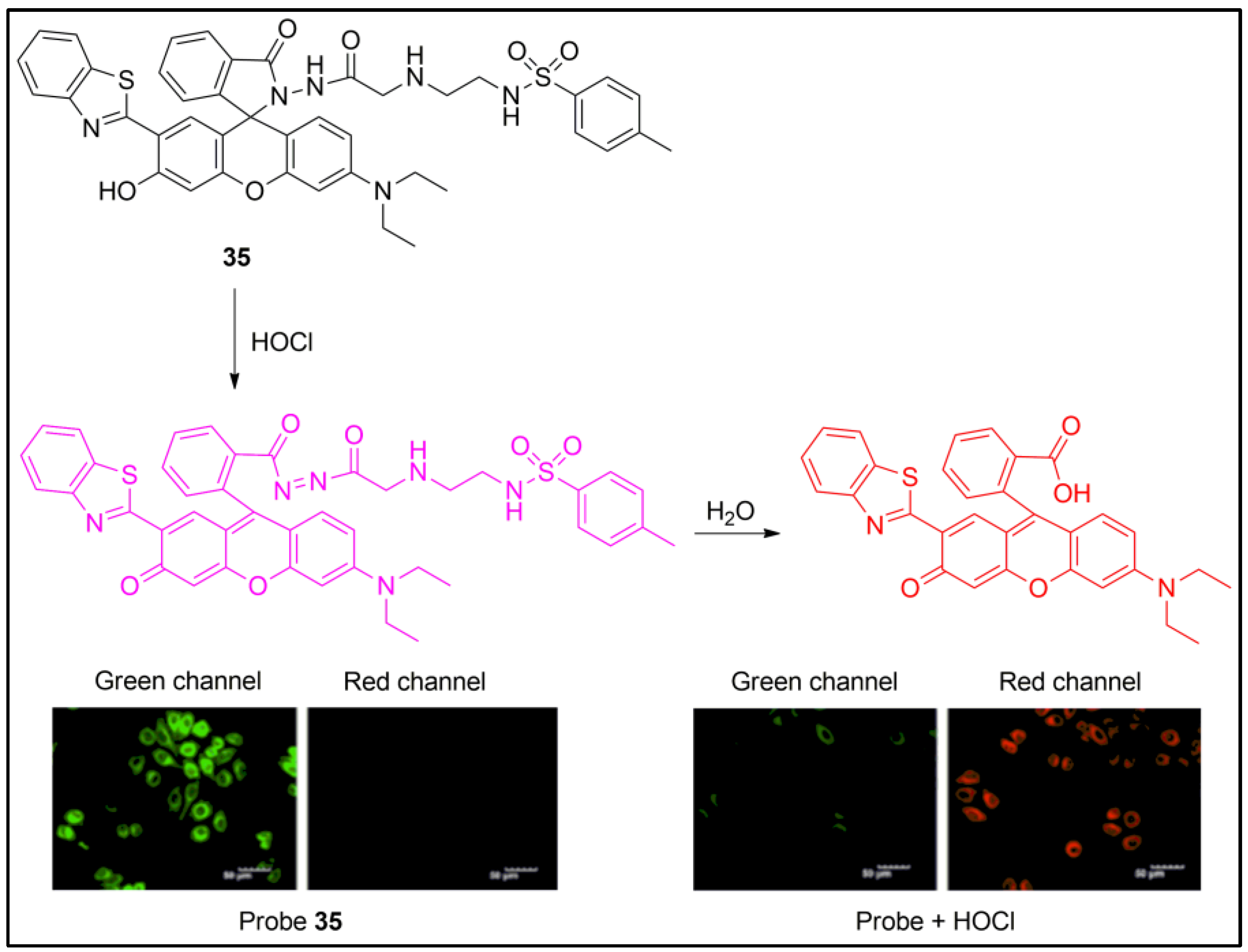 Pharmaceuticals 16 00381 g035