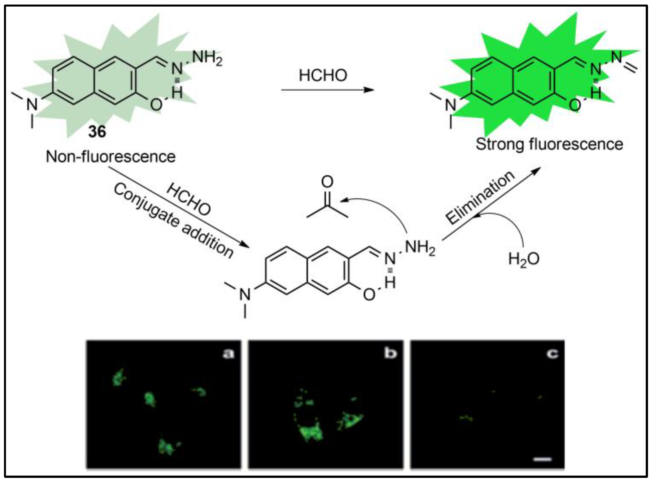 Pharmaceuticals 16 00381 g036