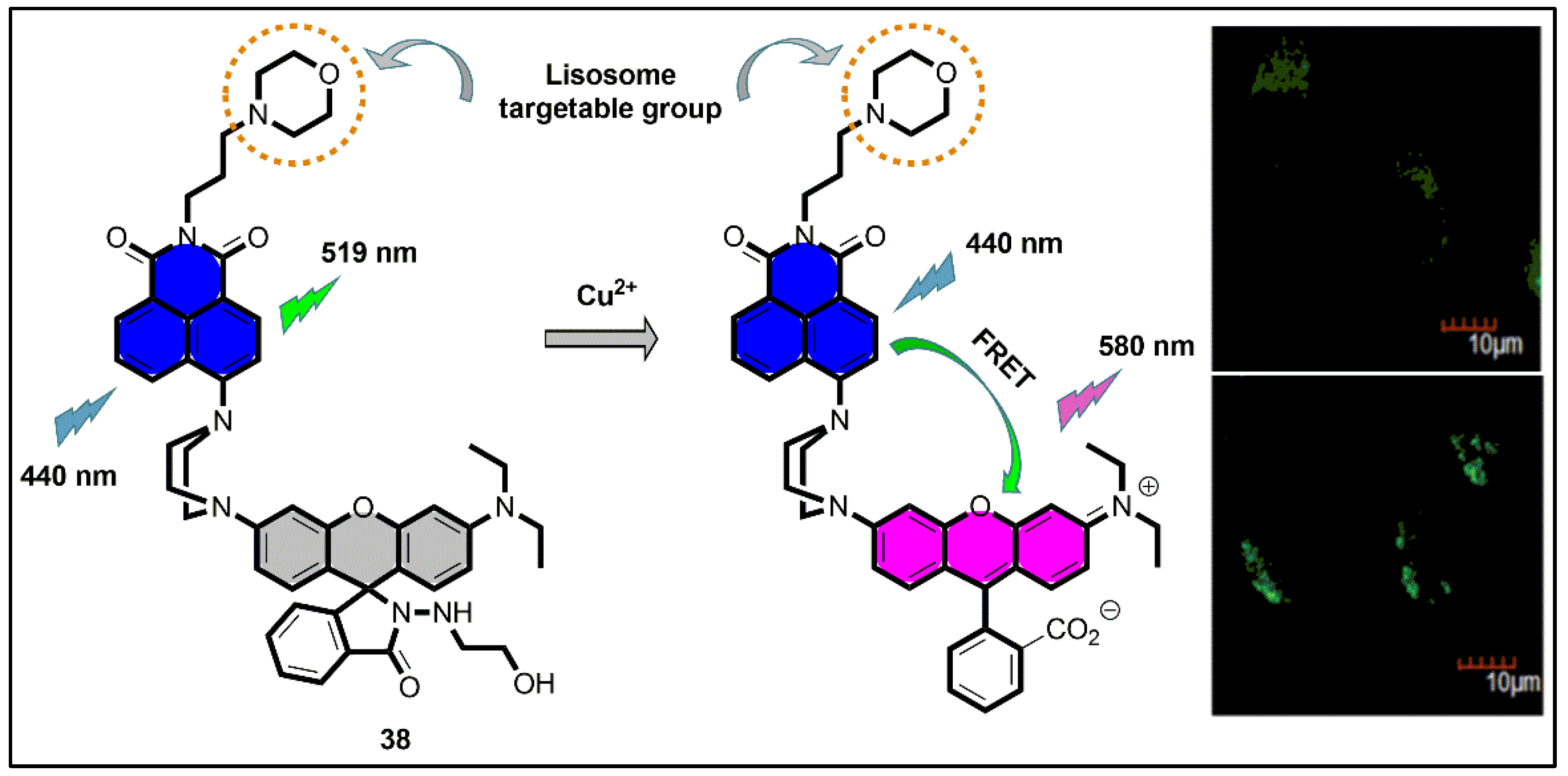 Pharmaceuticals 16 00381 g039