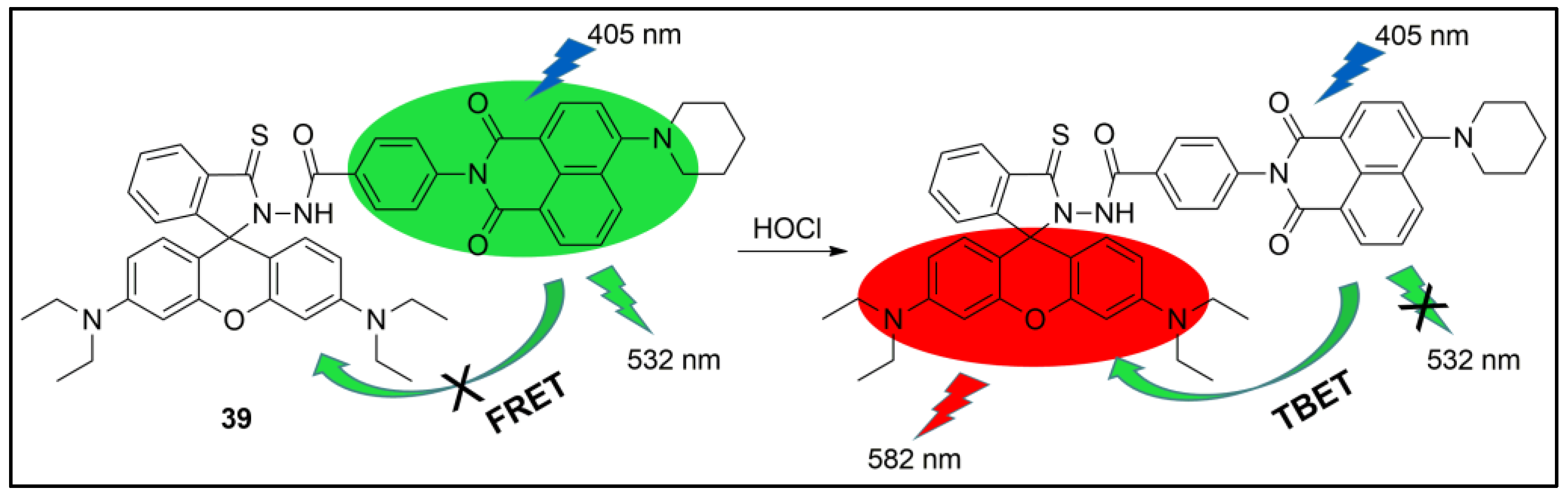 Pharmaceuticals 16 00381 g040