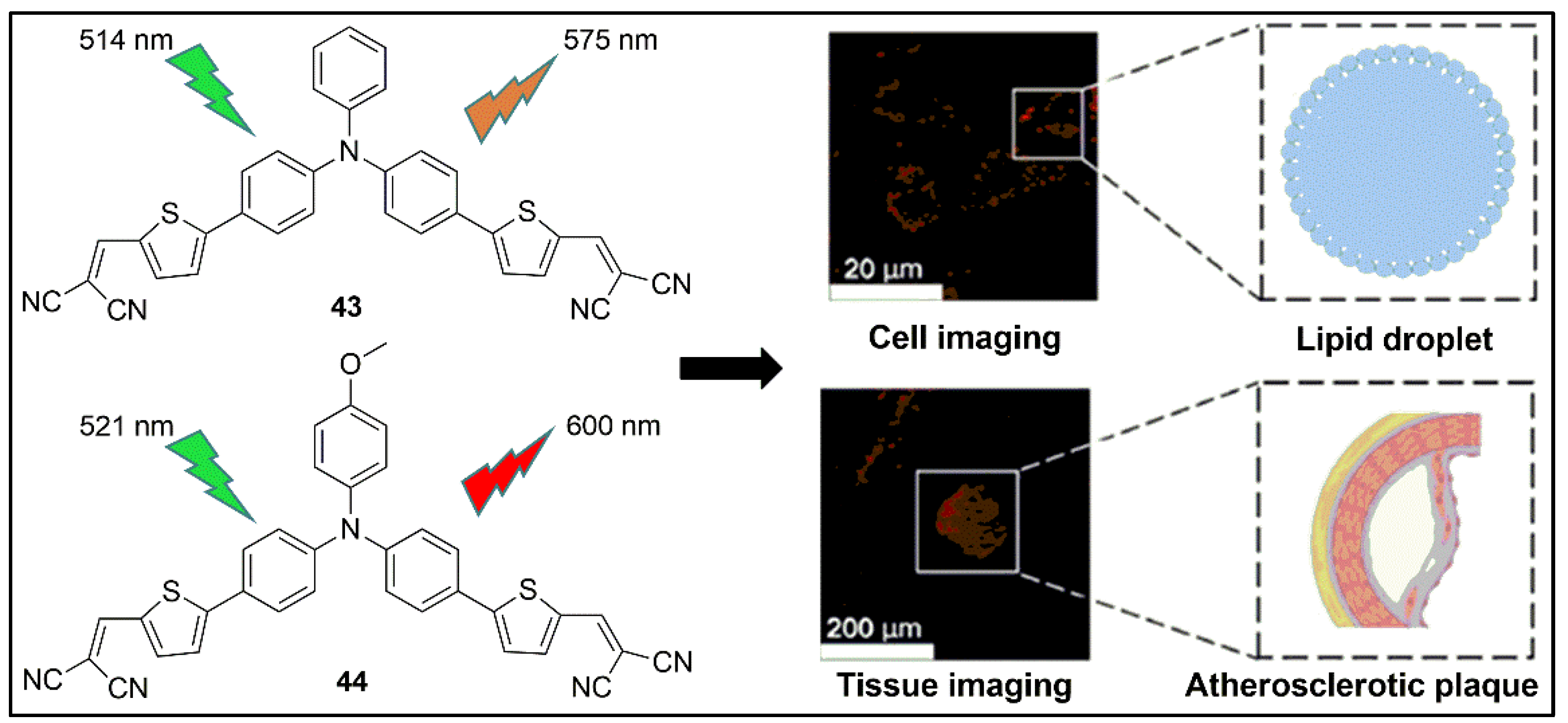 Pharmaceuticals 16 00381 g044