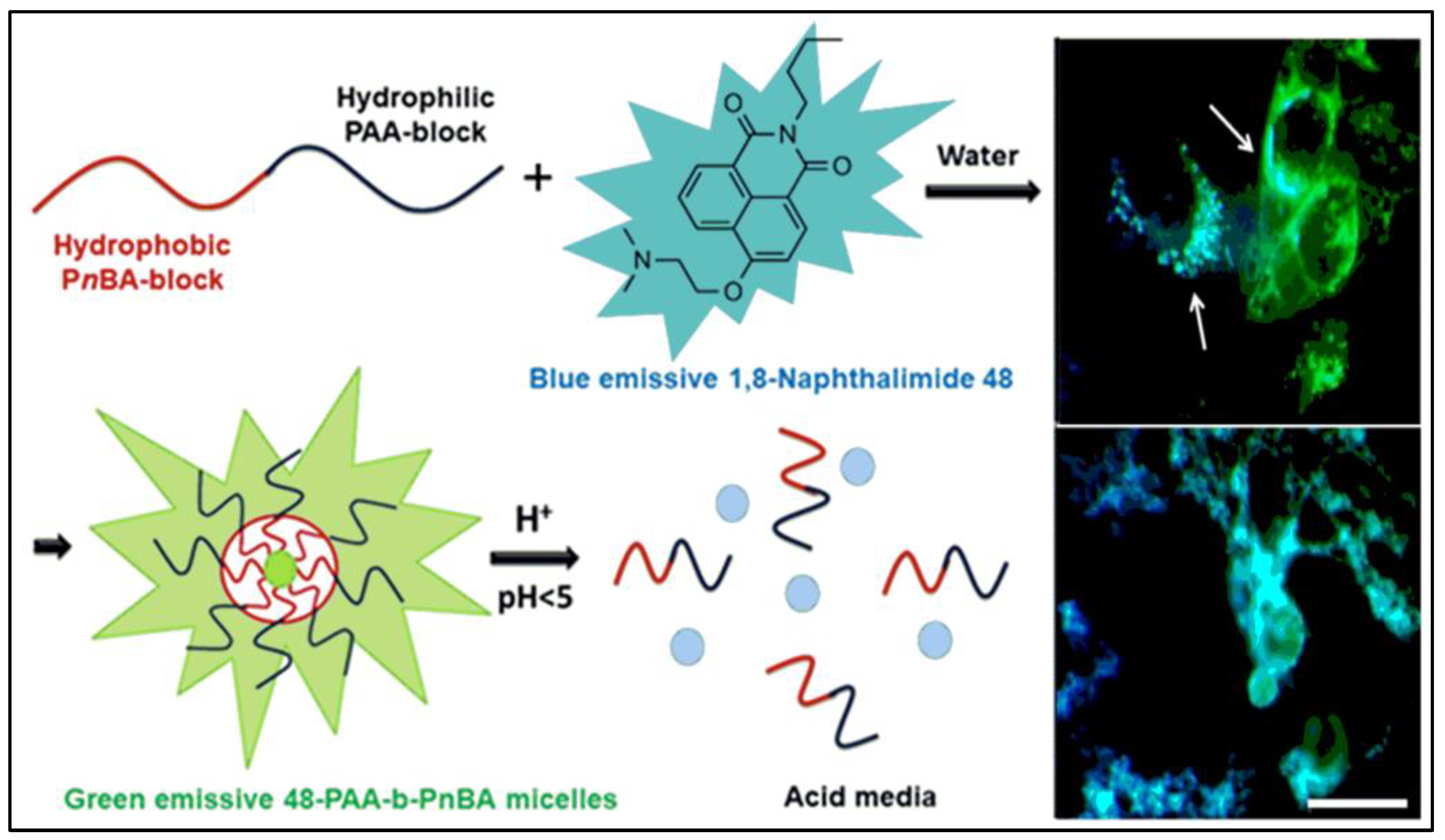 Pharmaceuticals 16 00381 g046