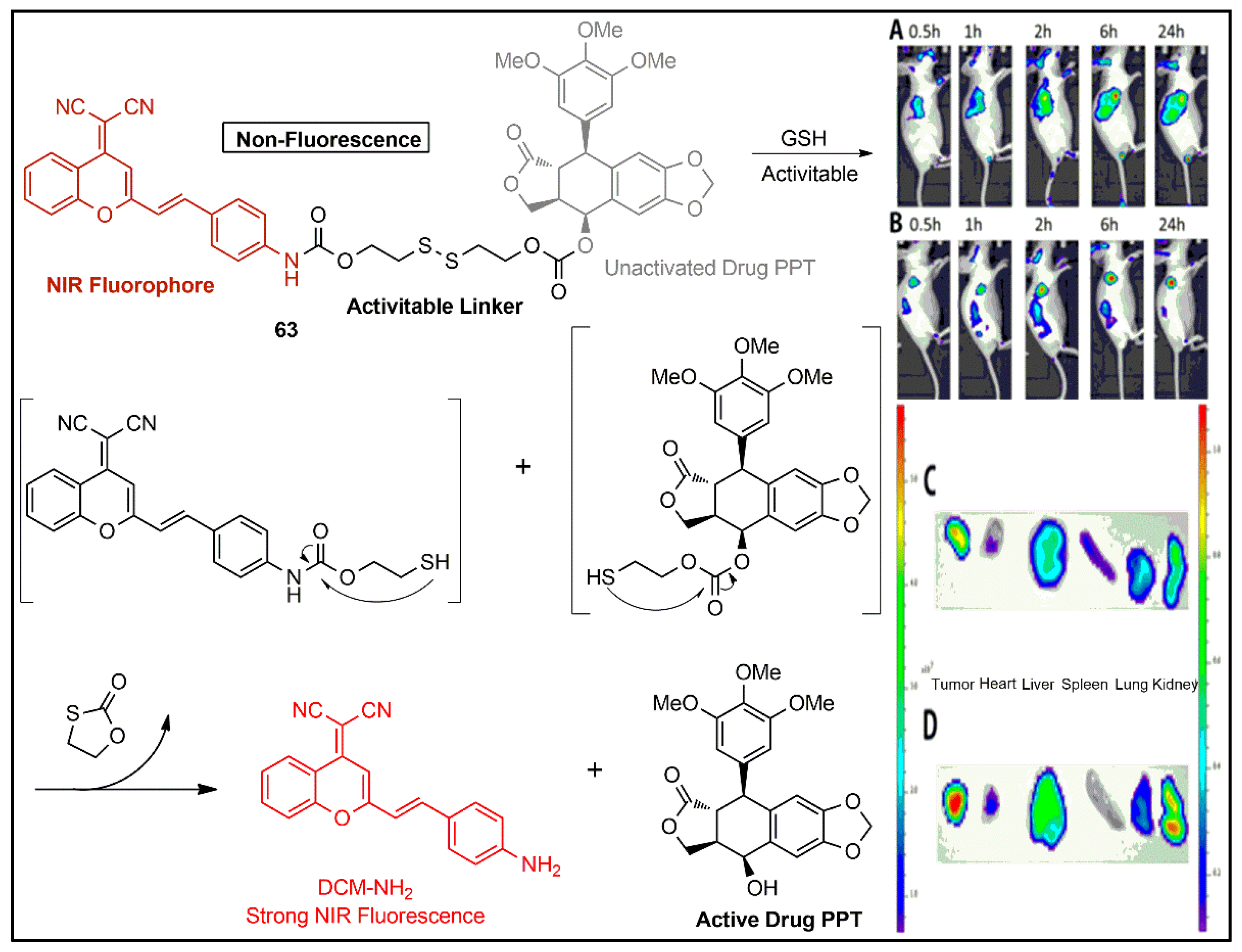 Pharmaceuticals 16 00381 g058