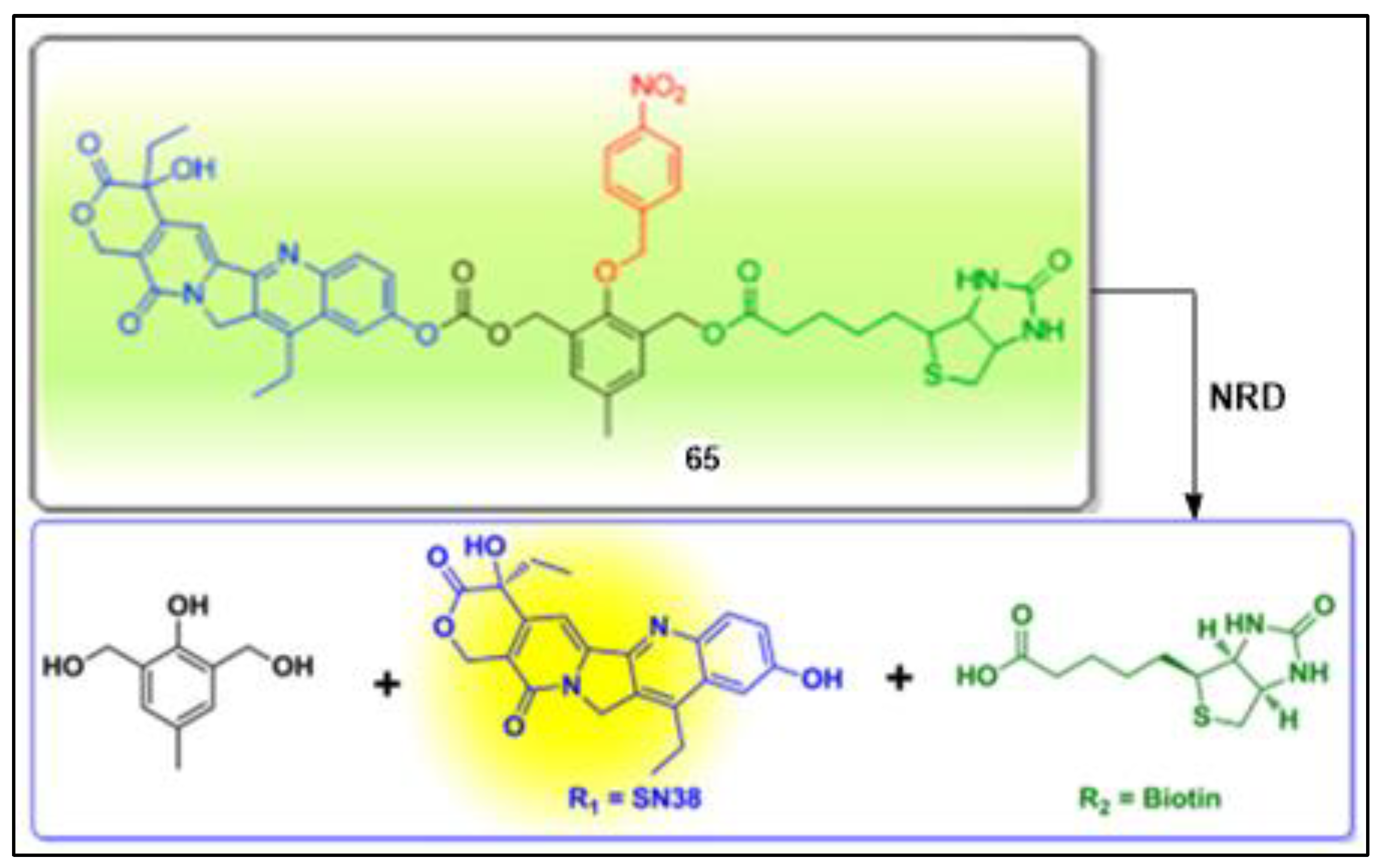 Pharmaceuticals 16 00381 g061