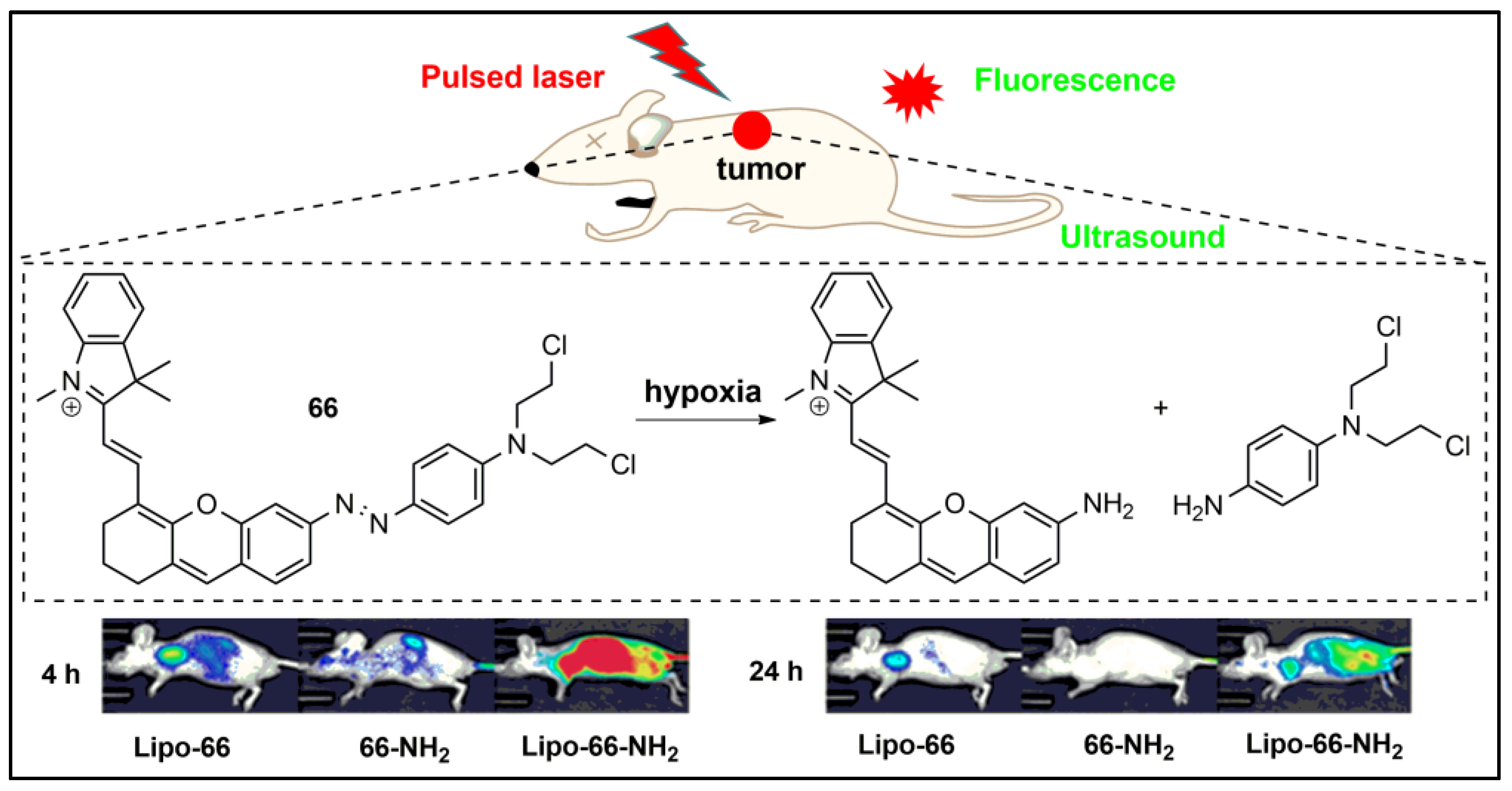 Pharmaceuticals 16 00381 g062