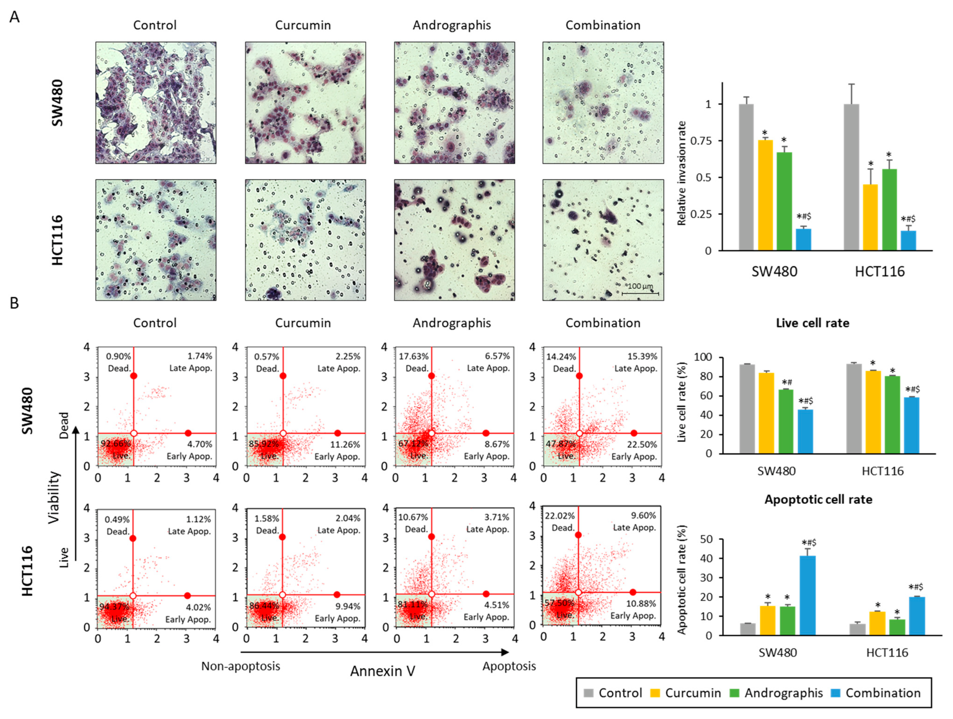 Pharmaceuticals 16 00383 g002 Pharmaceuticals 16 00383 g002