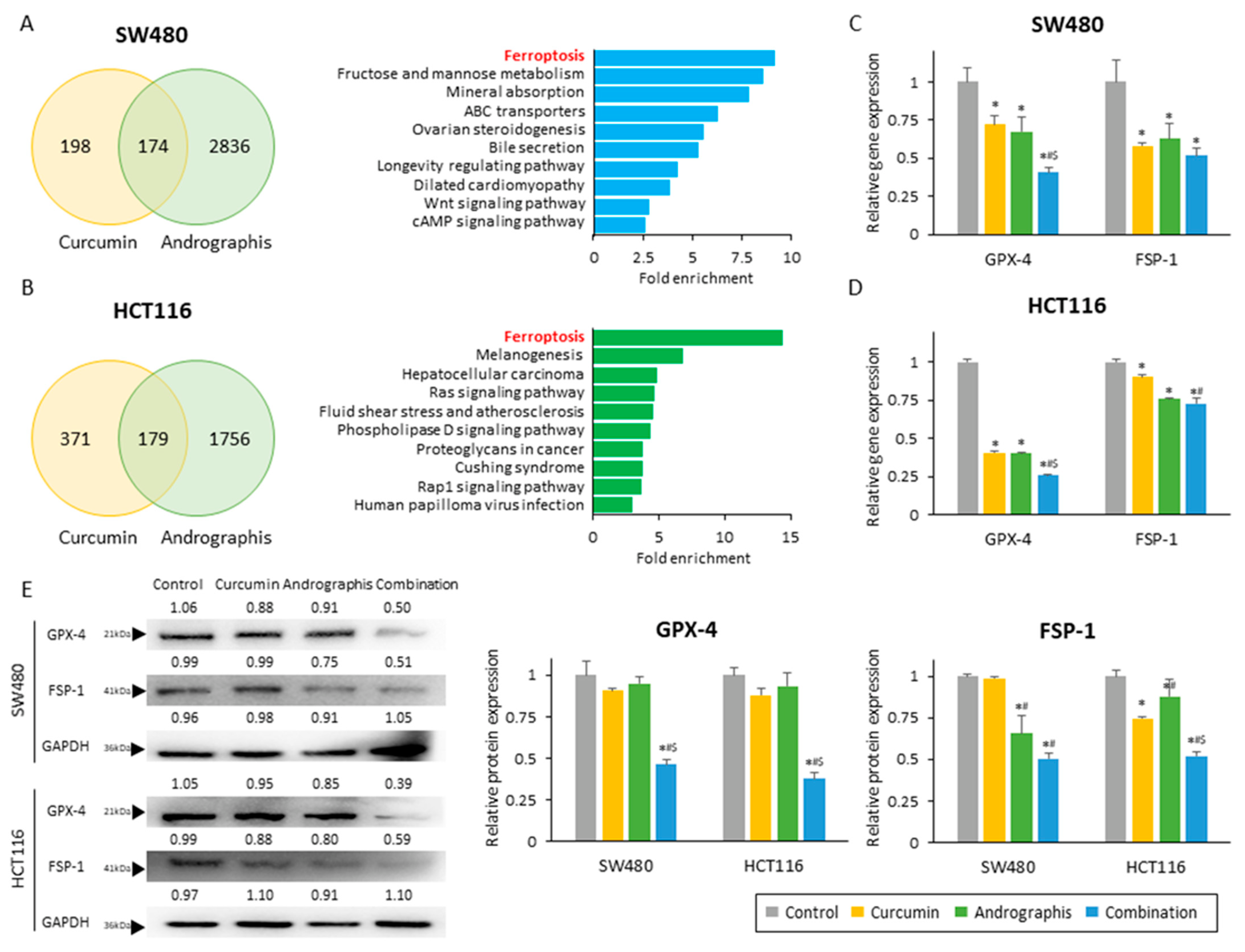 Pharmaceuticals 16 00383 g003 Pharmaceuticals 16 00383 g003