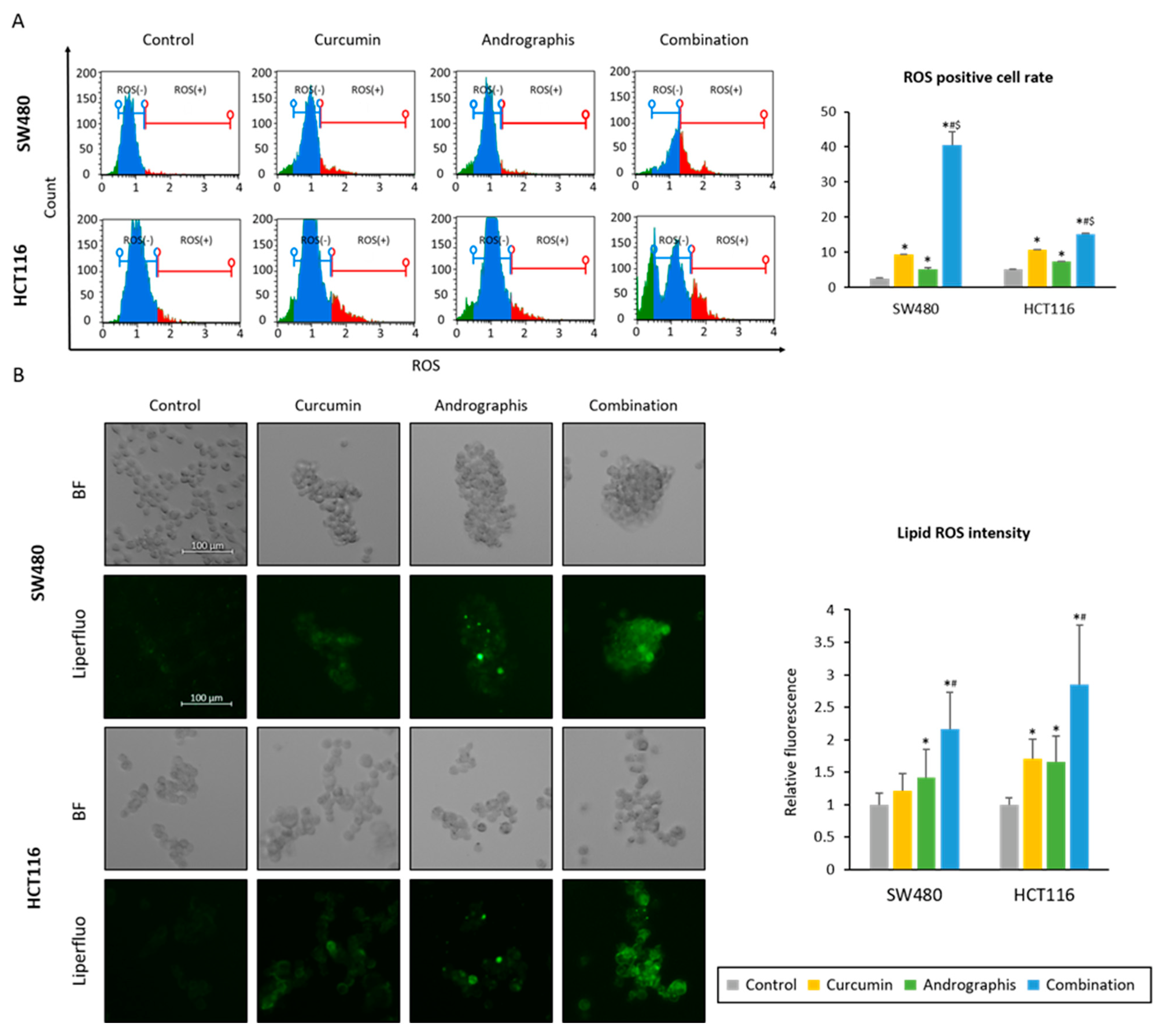 Pharmaceuticals 16 00383 g004 Pharmaceuticals 16 00383 g004