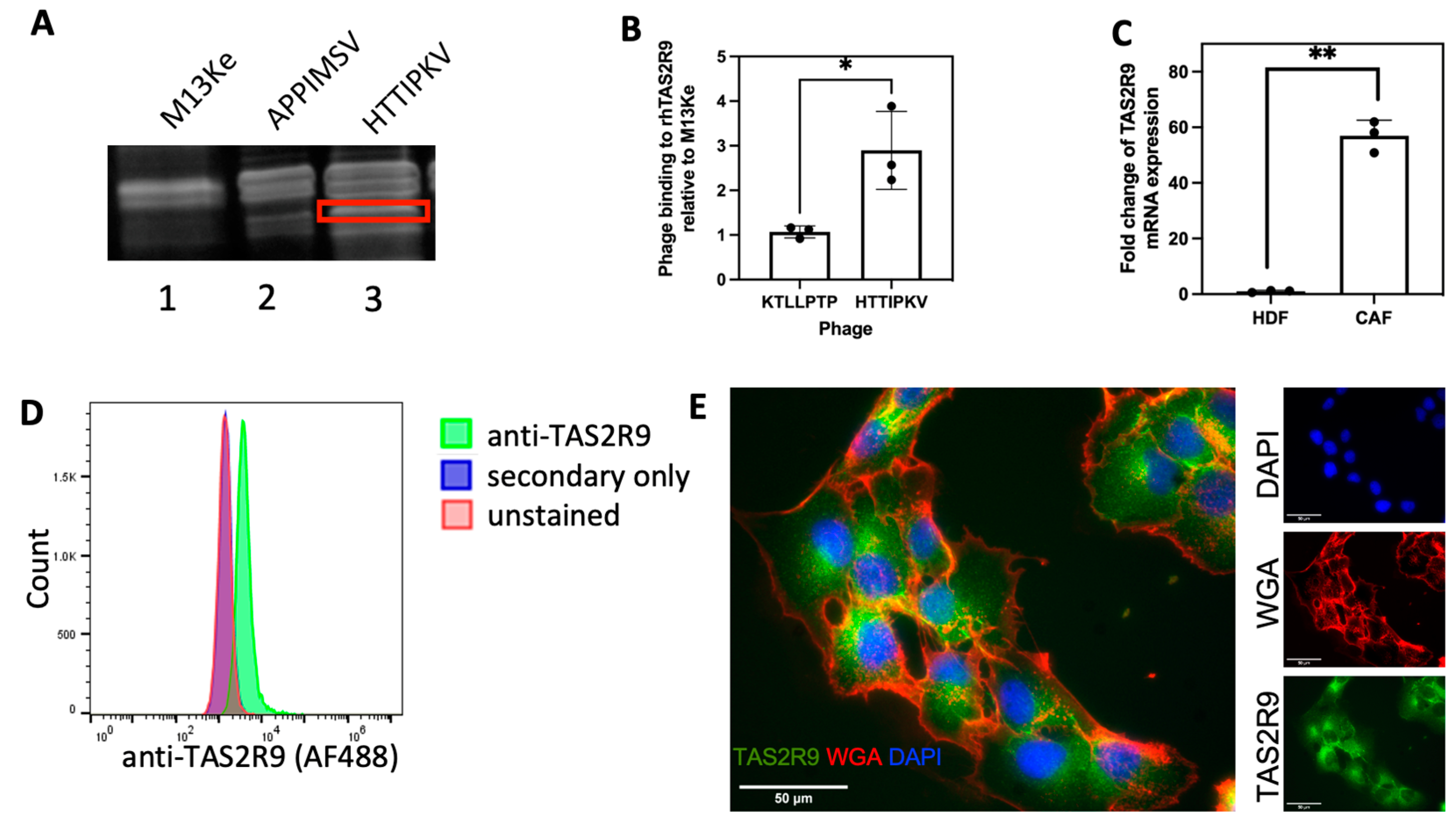 Pharmaceuticals 16 00389 g001