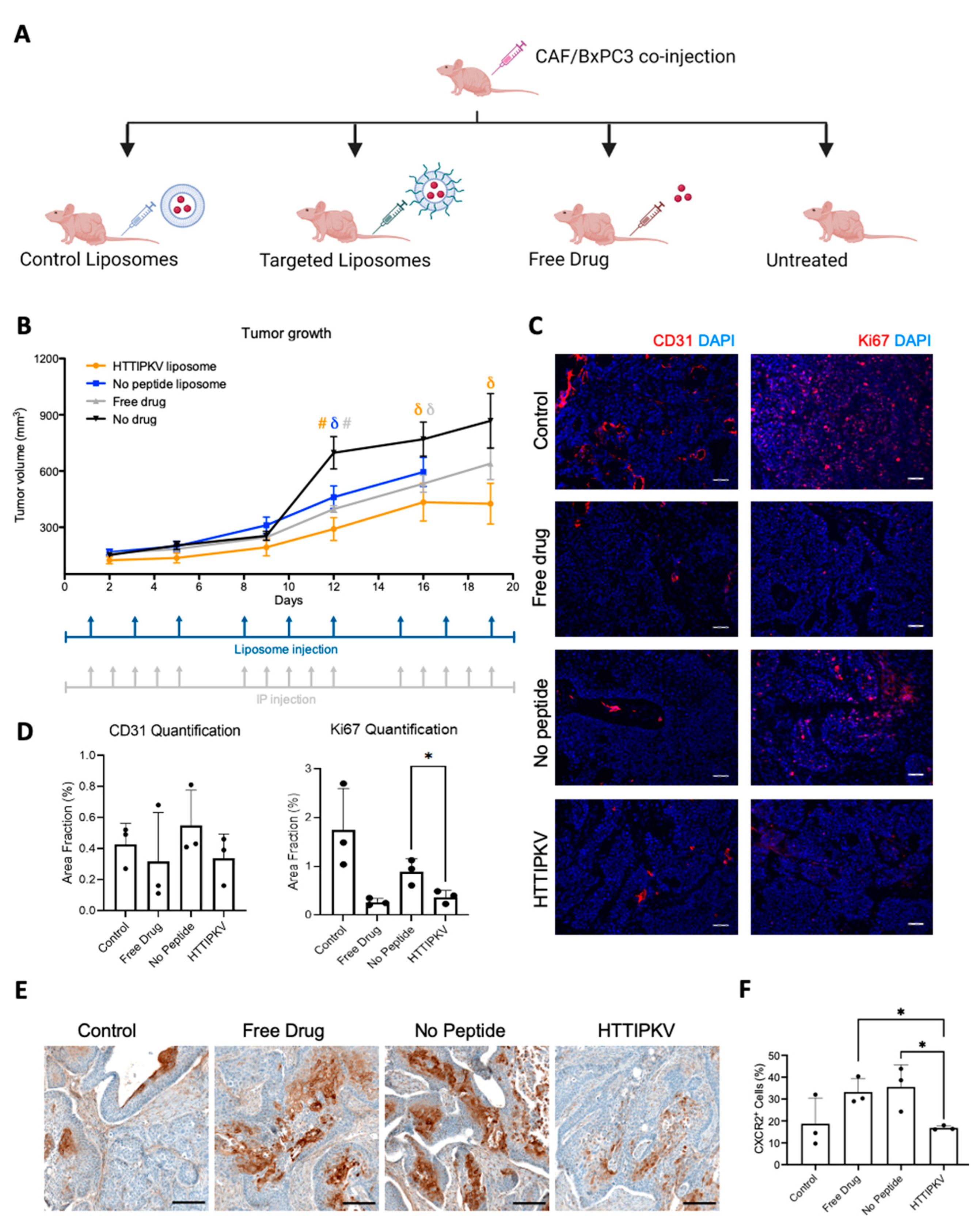 Pharmaceuticals 16 00389 g005