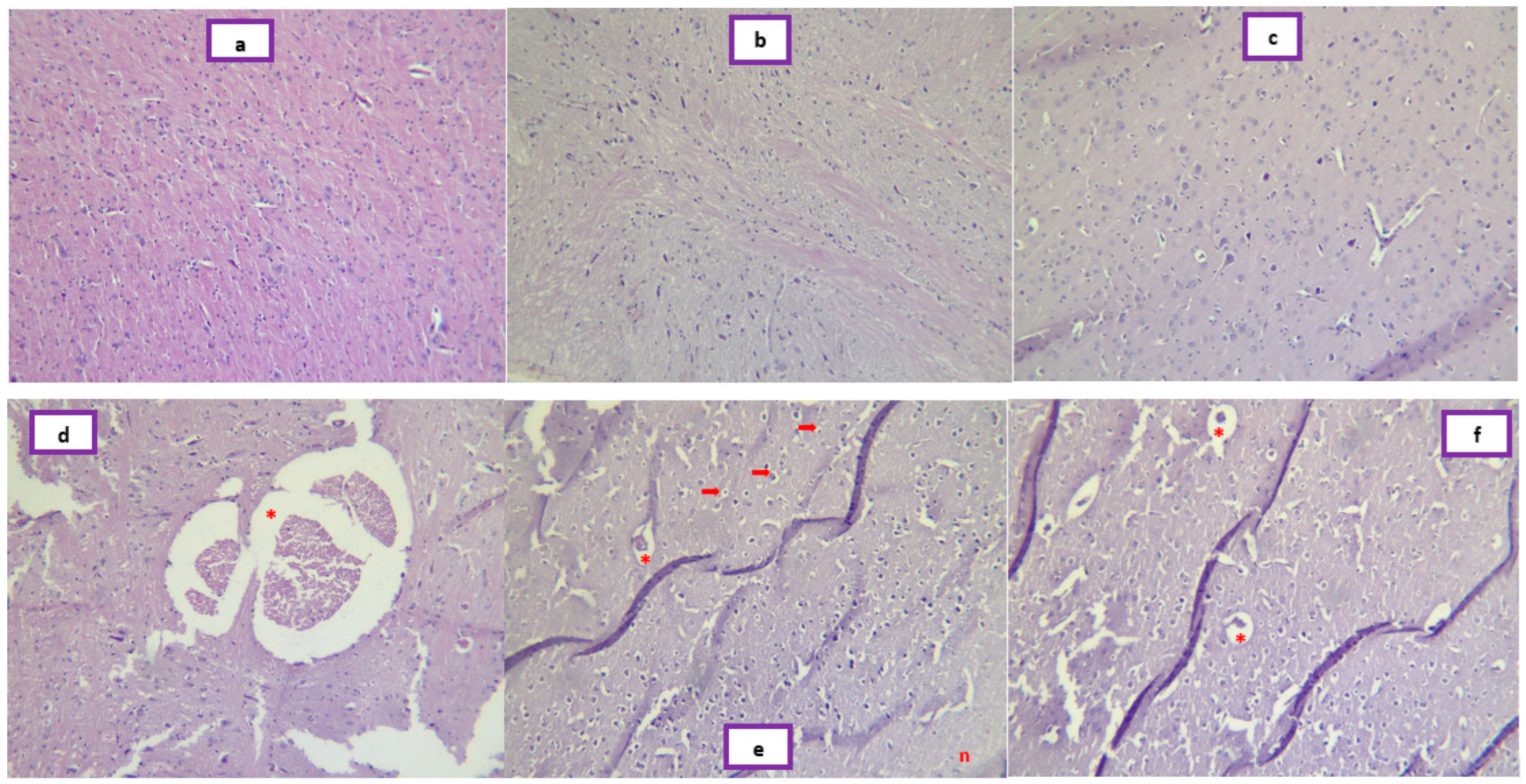 Pharmaceuticals 16 00402 g008