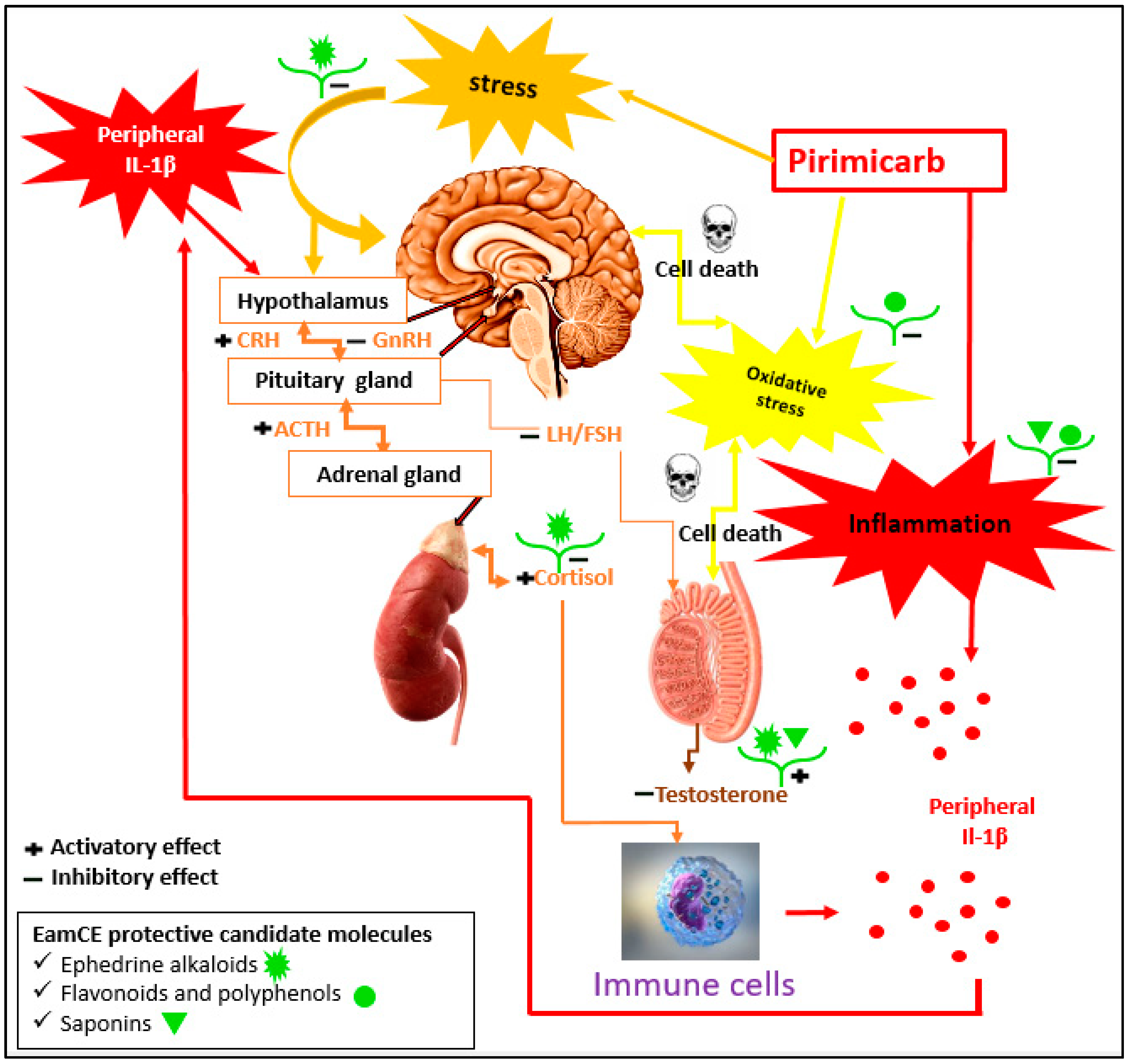 Pharmaceuticals 16 00402 g012