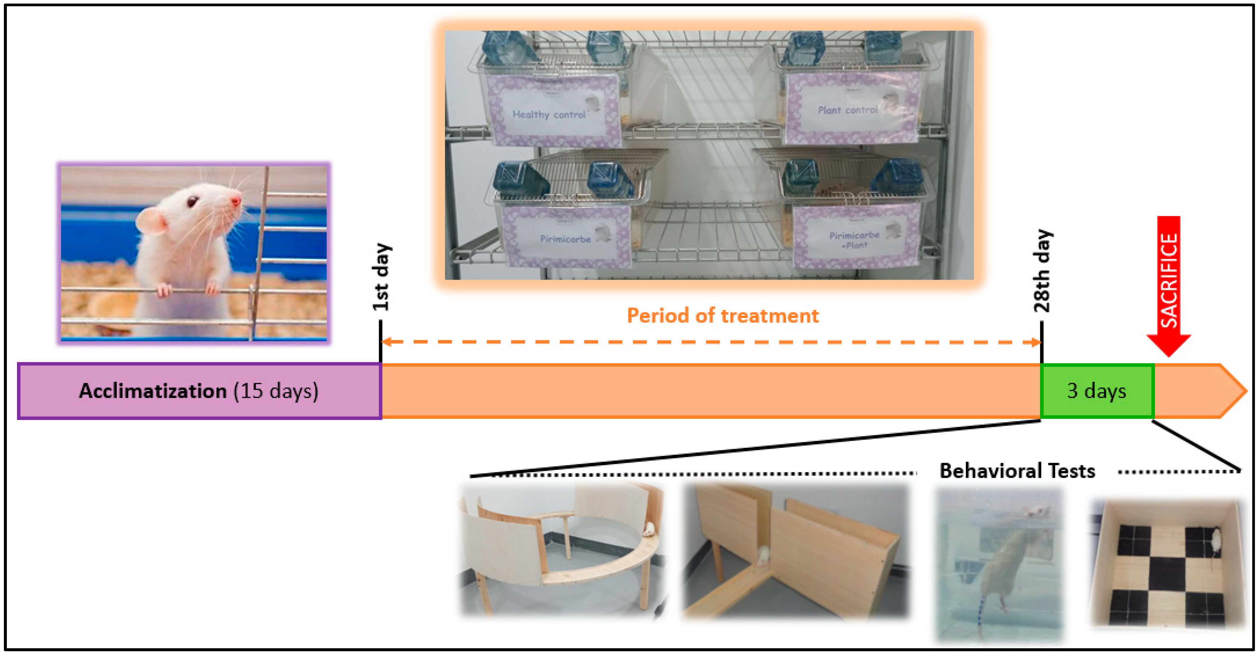 Pharmaceuticals 16 00402 g013