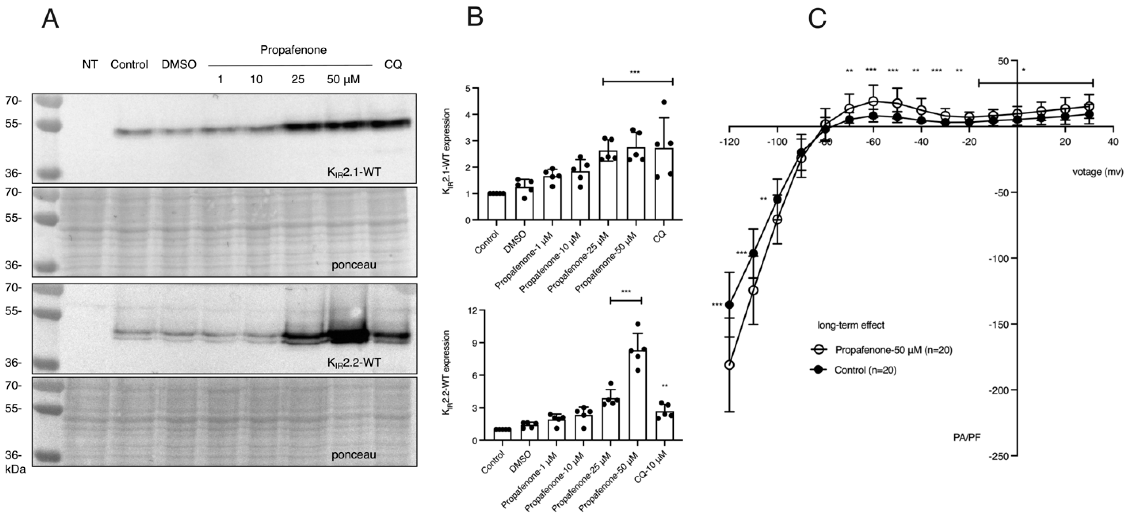 Pharmaceuticals 16 00404 g001