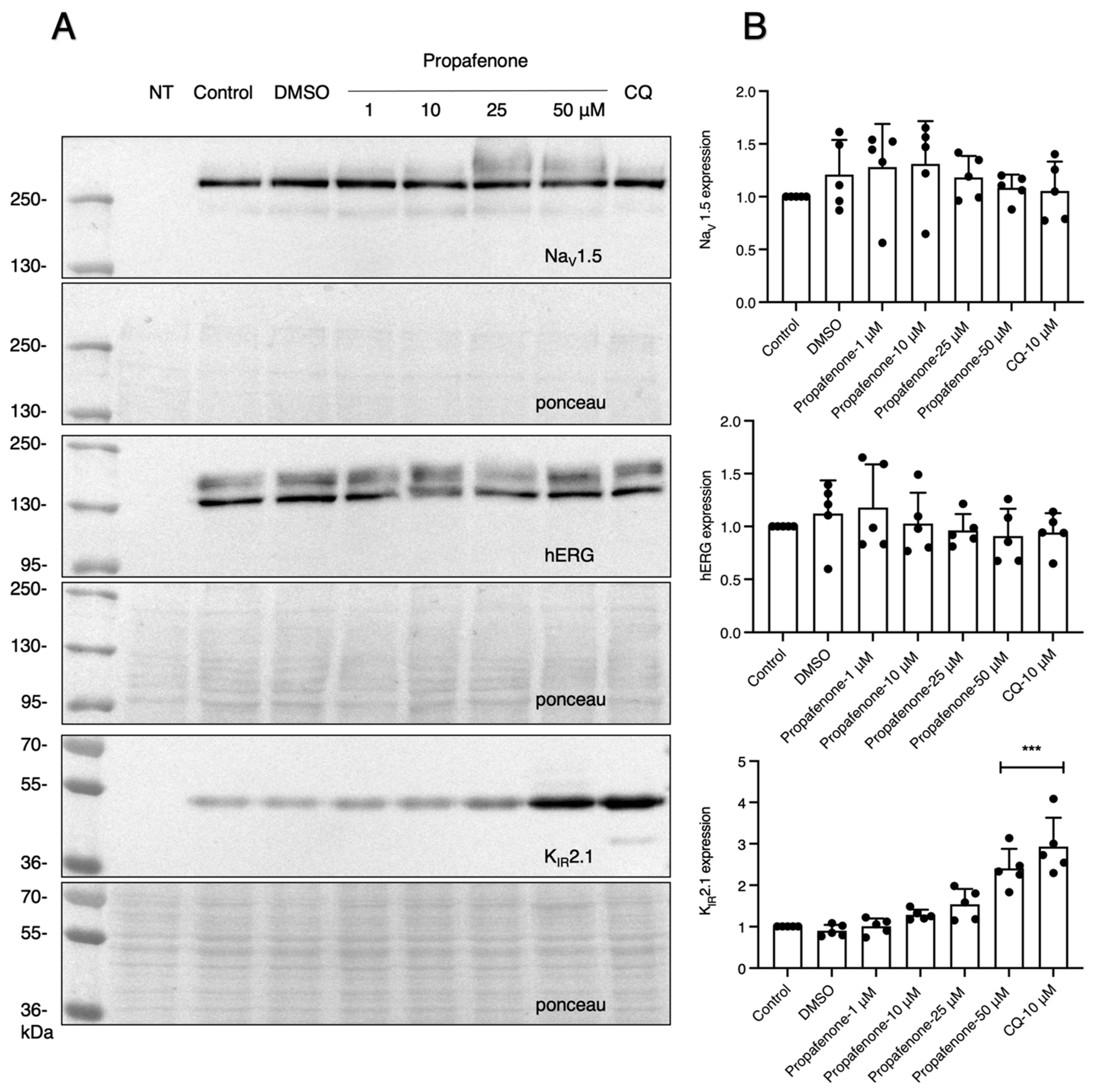 Pharmaceuticals 16 00404 g002
