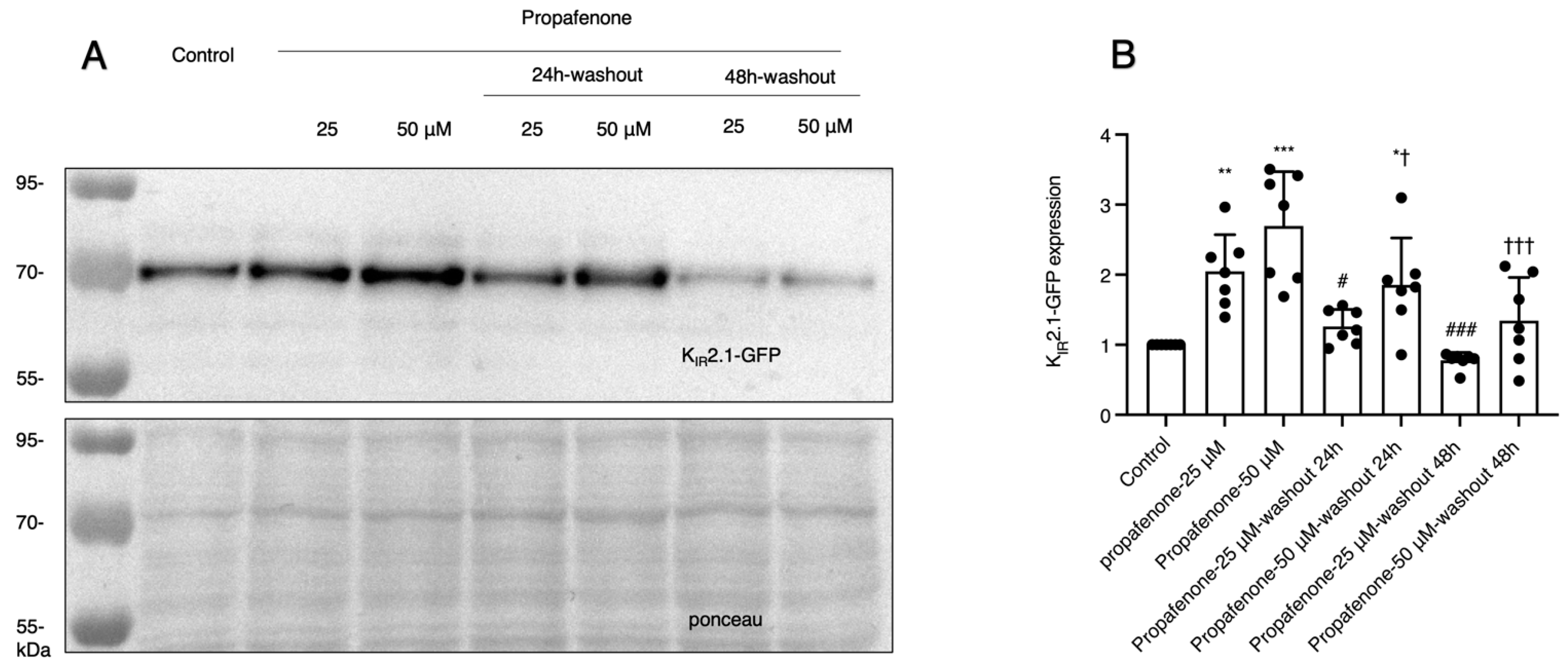 Pharmaceuticals 16 00404 g003