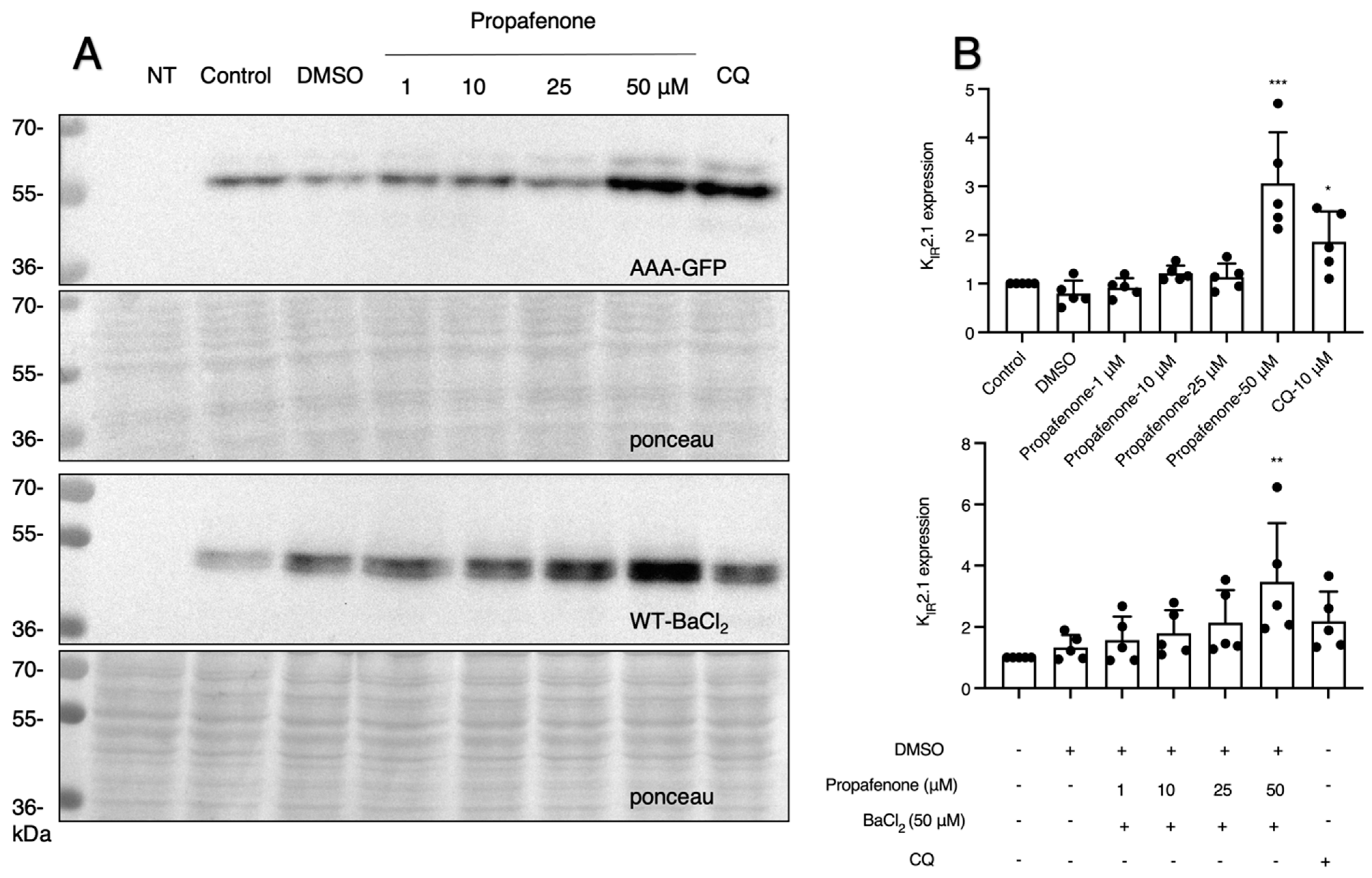 Pharmaceuticals 16 00404 g004
