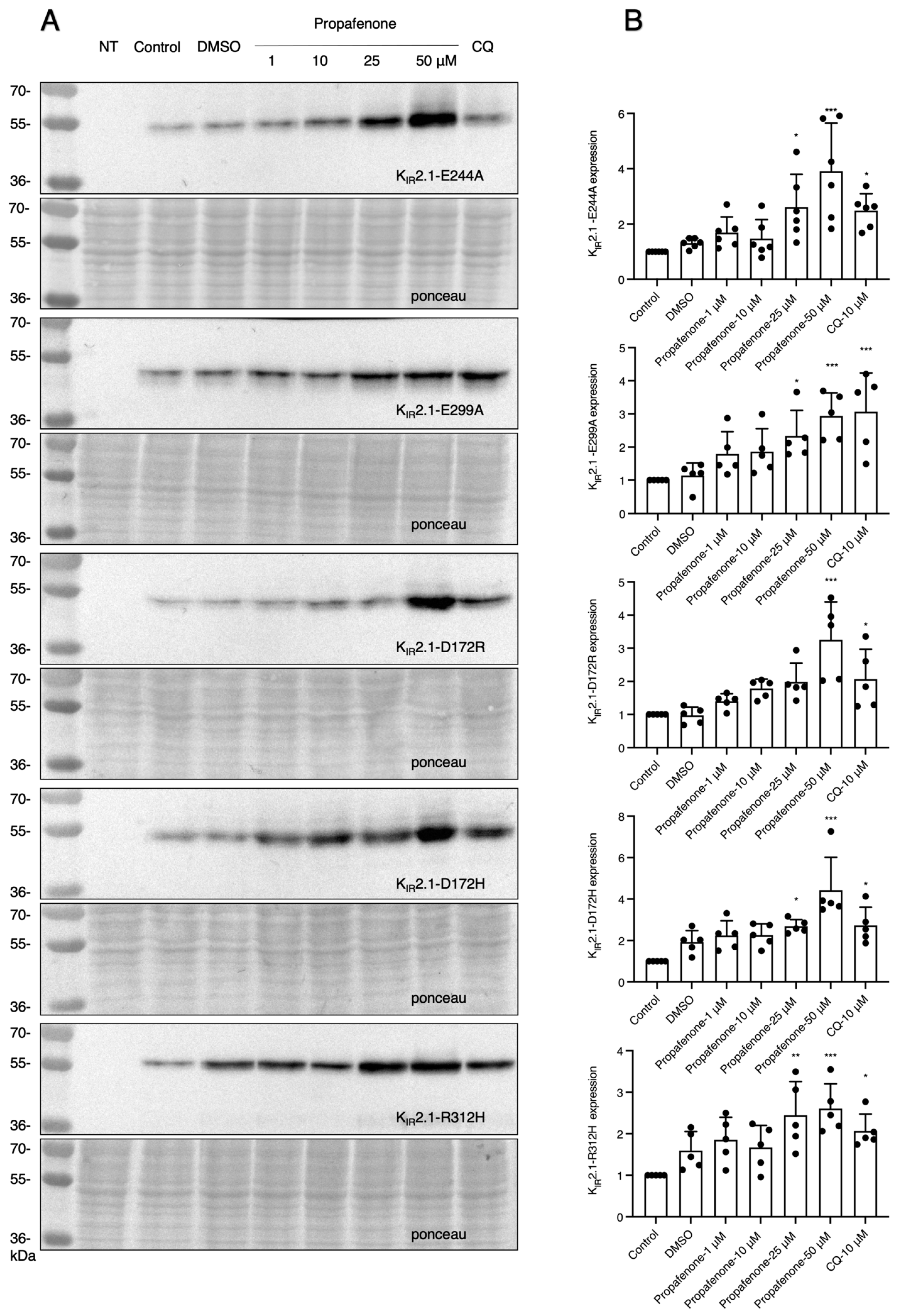 Pharmaceuticals 16 00404 g005