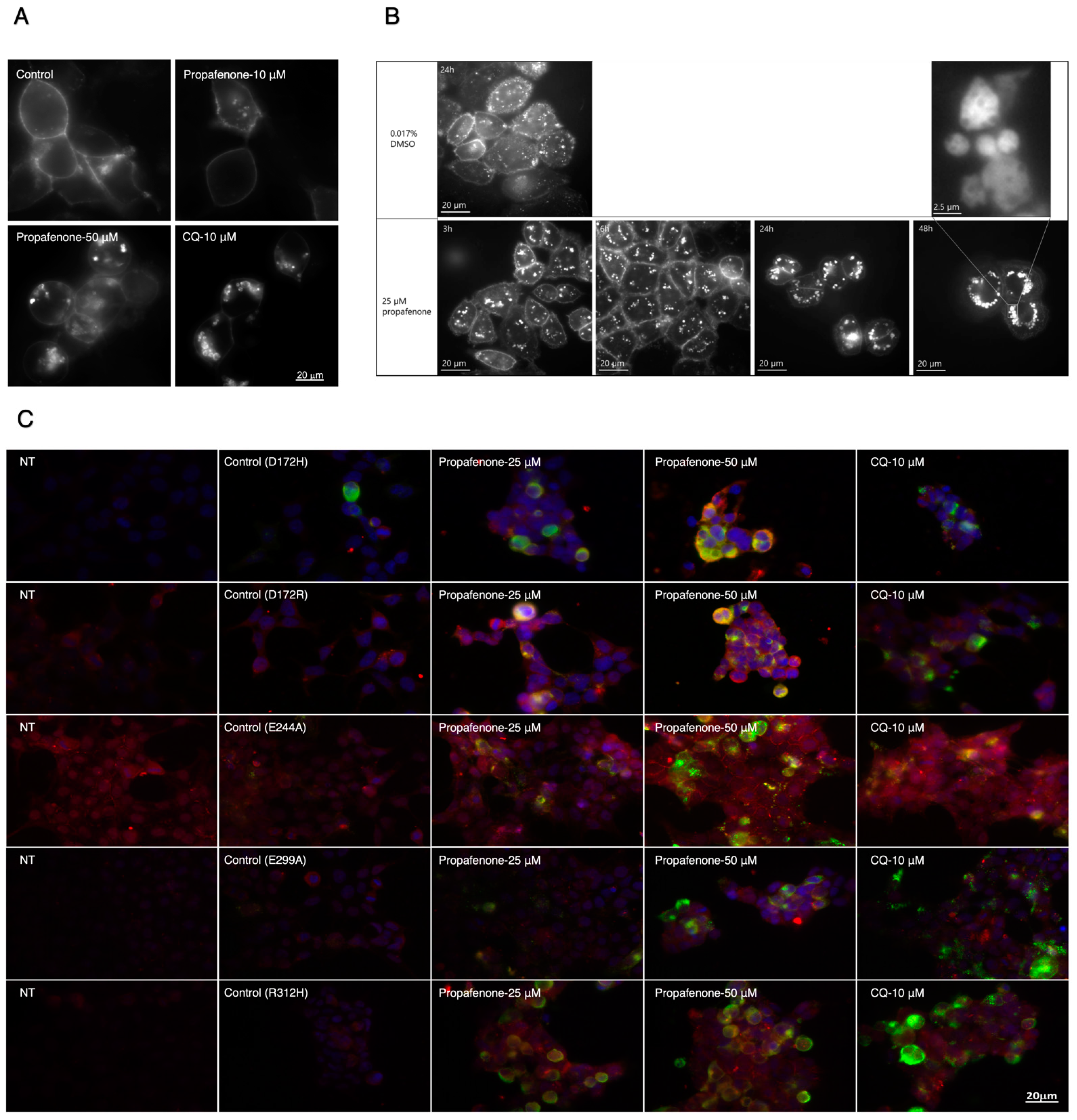 Pharmaceuticals 16 00404 g006