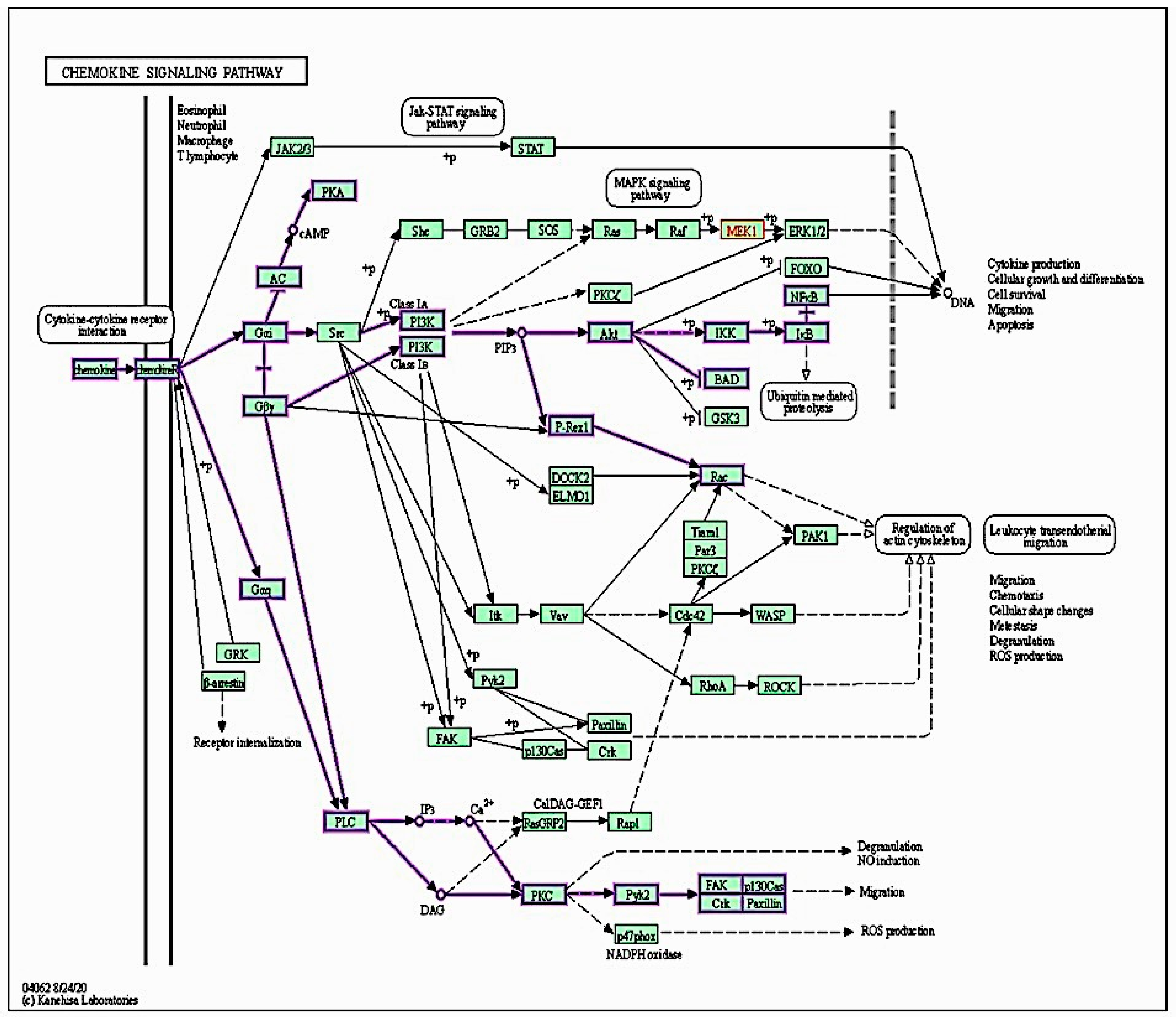 Pharmaceuticals 16 00405 g008