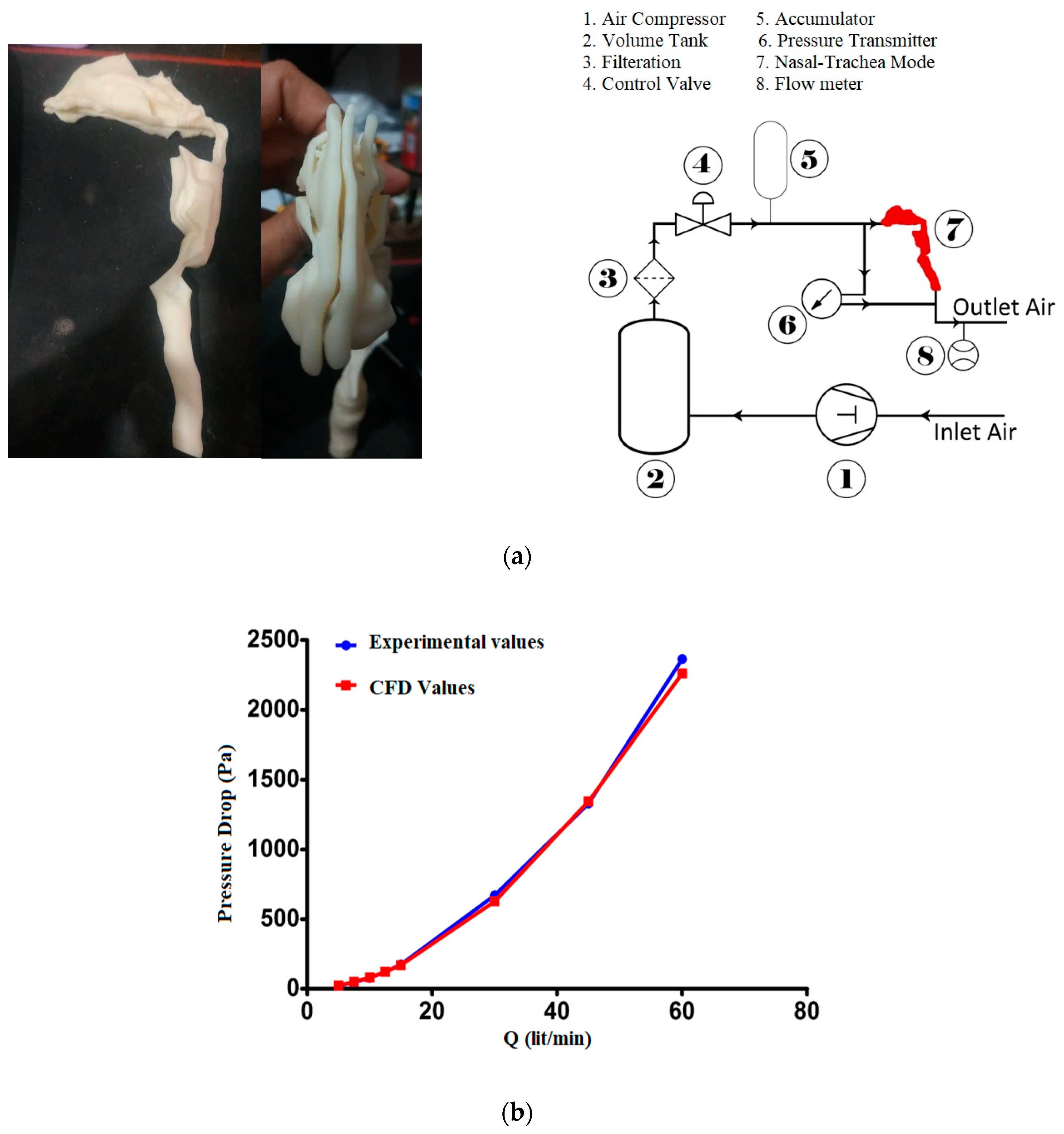 Pharmaceuticals 16 00406 g003