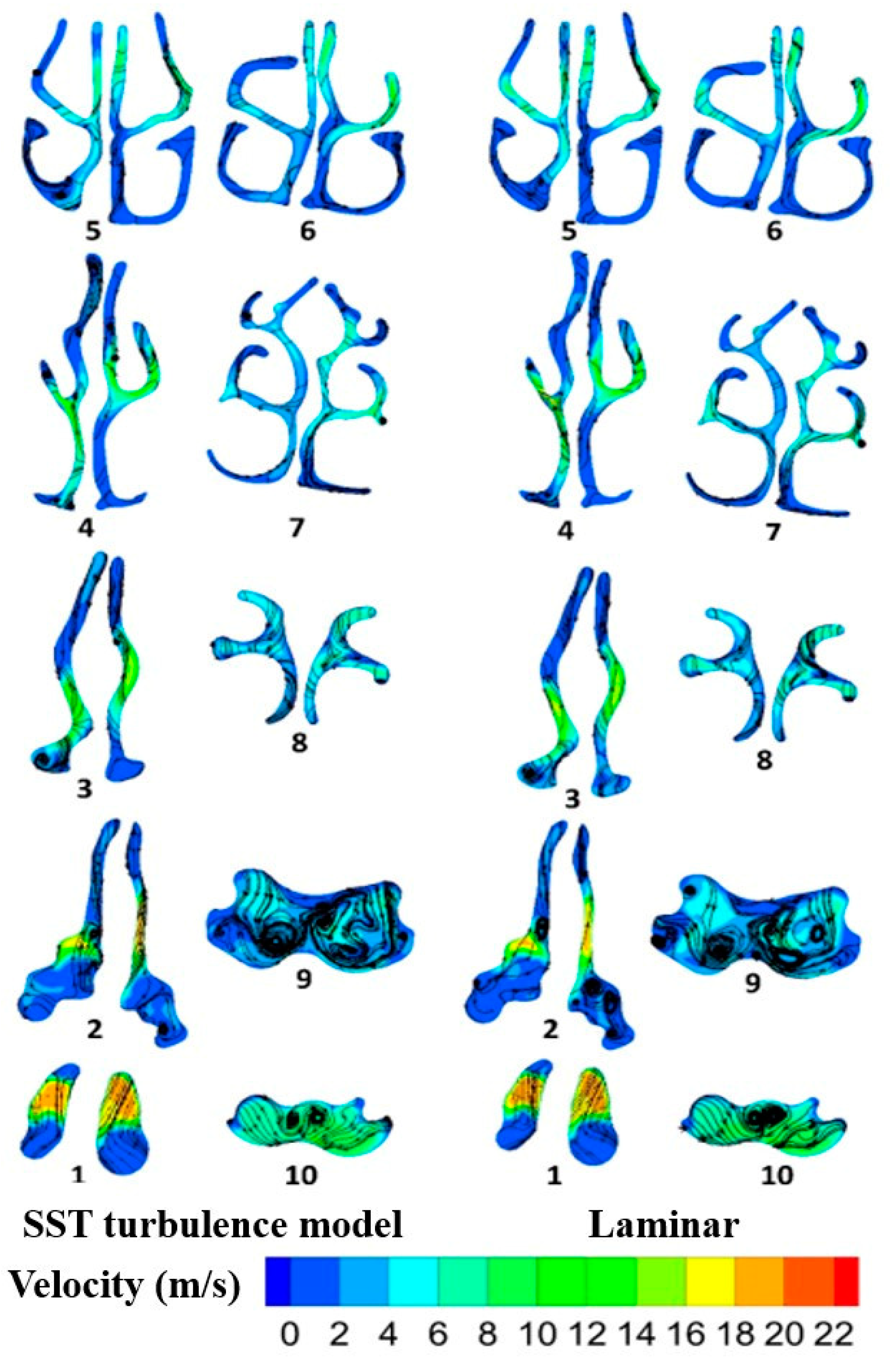 Pharmaceuticals 16 00406 g006