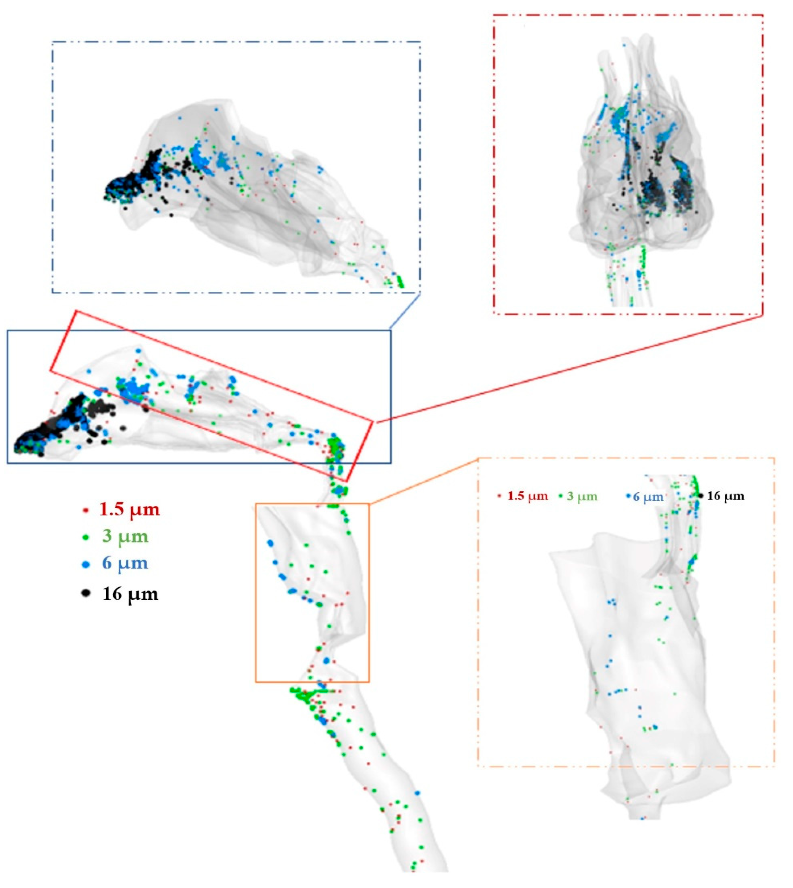 Pharmaceuticals 16 00406 g011