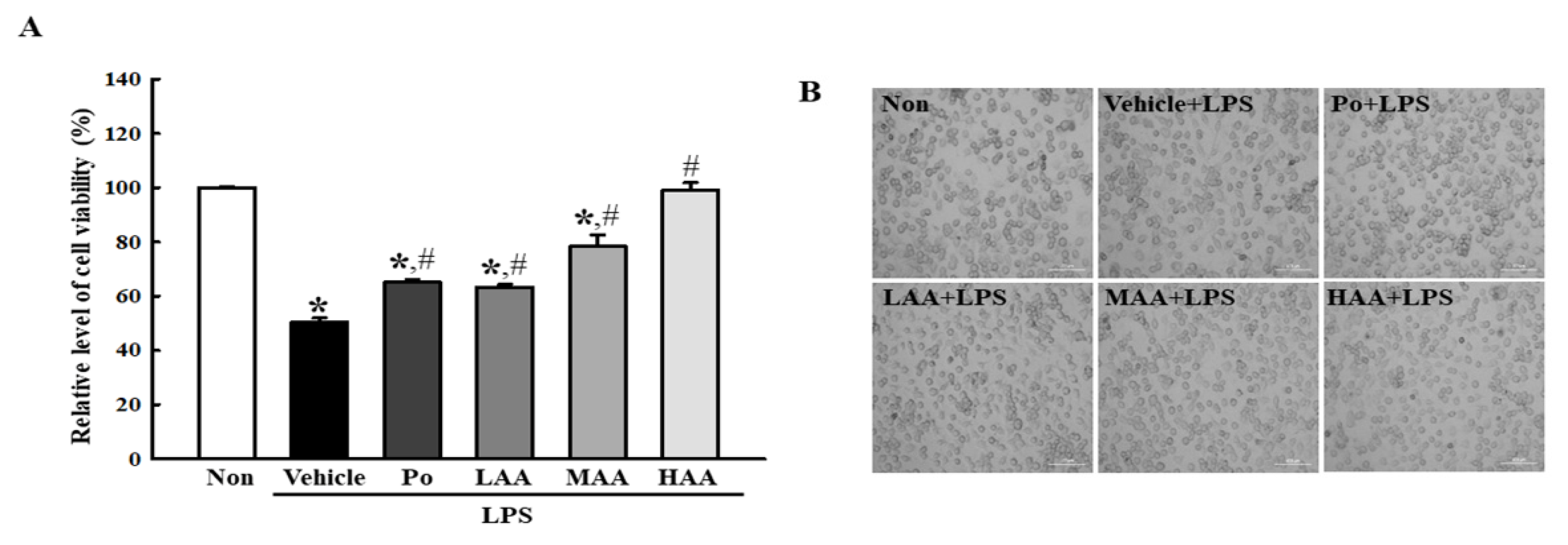Pharmaceuticals 16 00407 g003 Pharmaceuticals 16 00407 g003