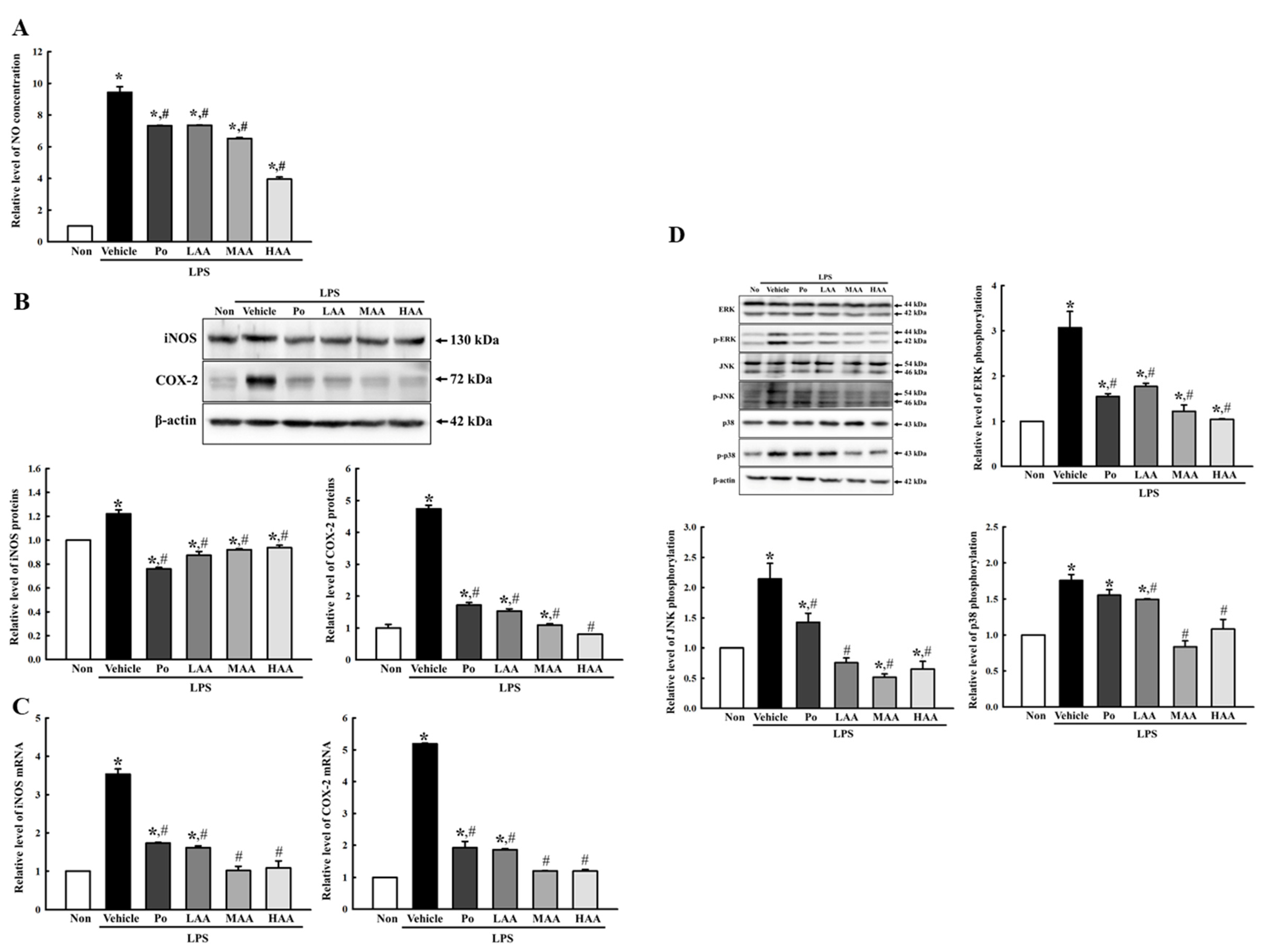 Pharmaceuticals 16 00407 g004 Pharmaceuticals 16 00407 g004