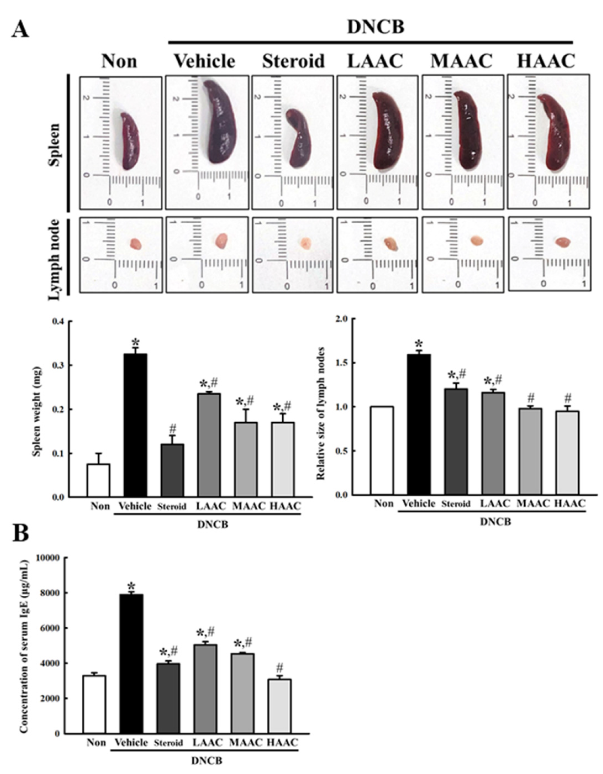 Pharmaceuticals 16 00407 g008 Pharmaceuticals 16 00407 g008