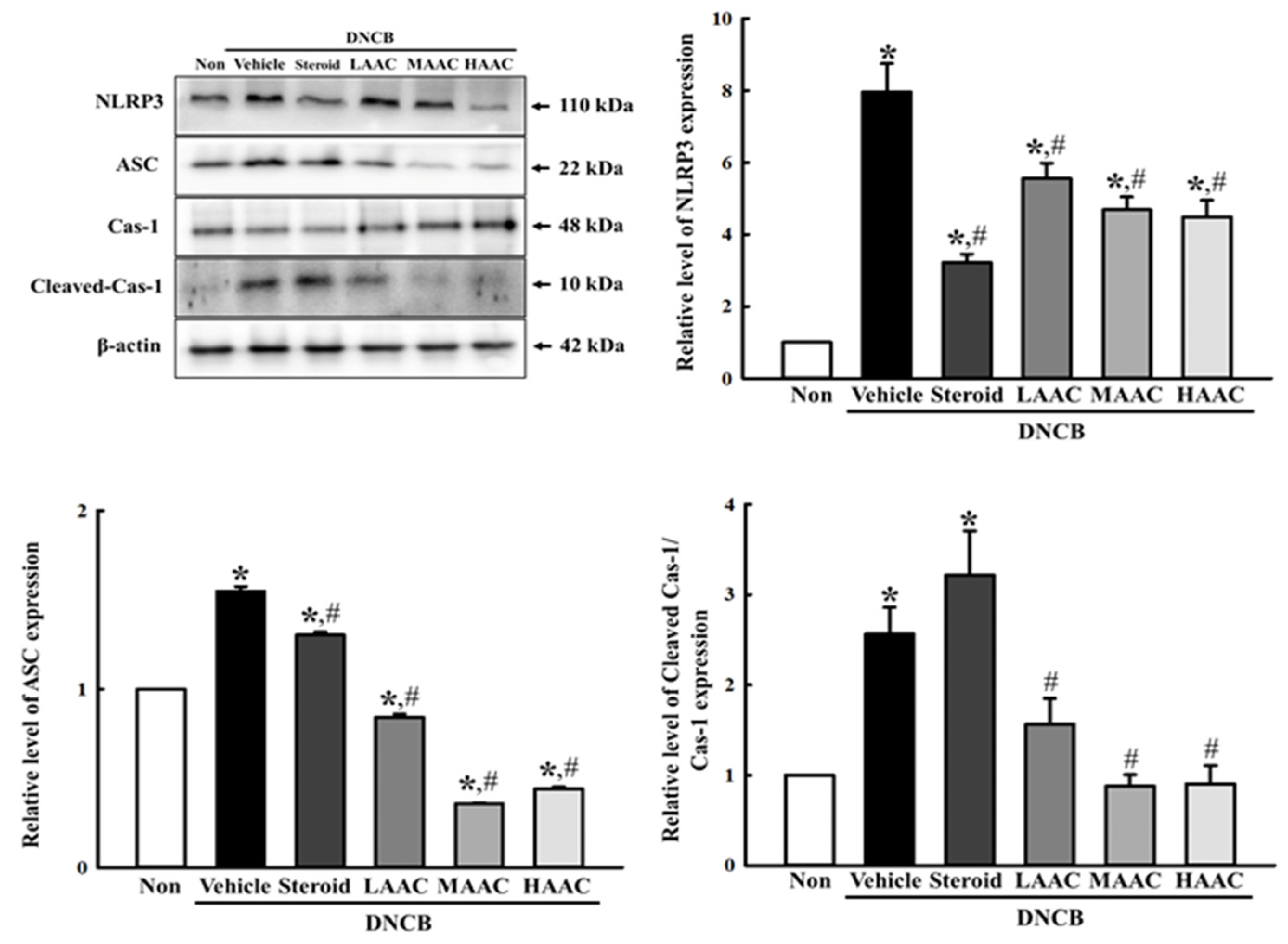 Pharmaceuticals 16 00407 g012 Pharmaceuticals 16 00407 g012