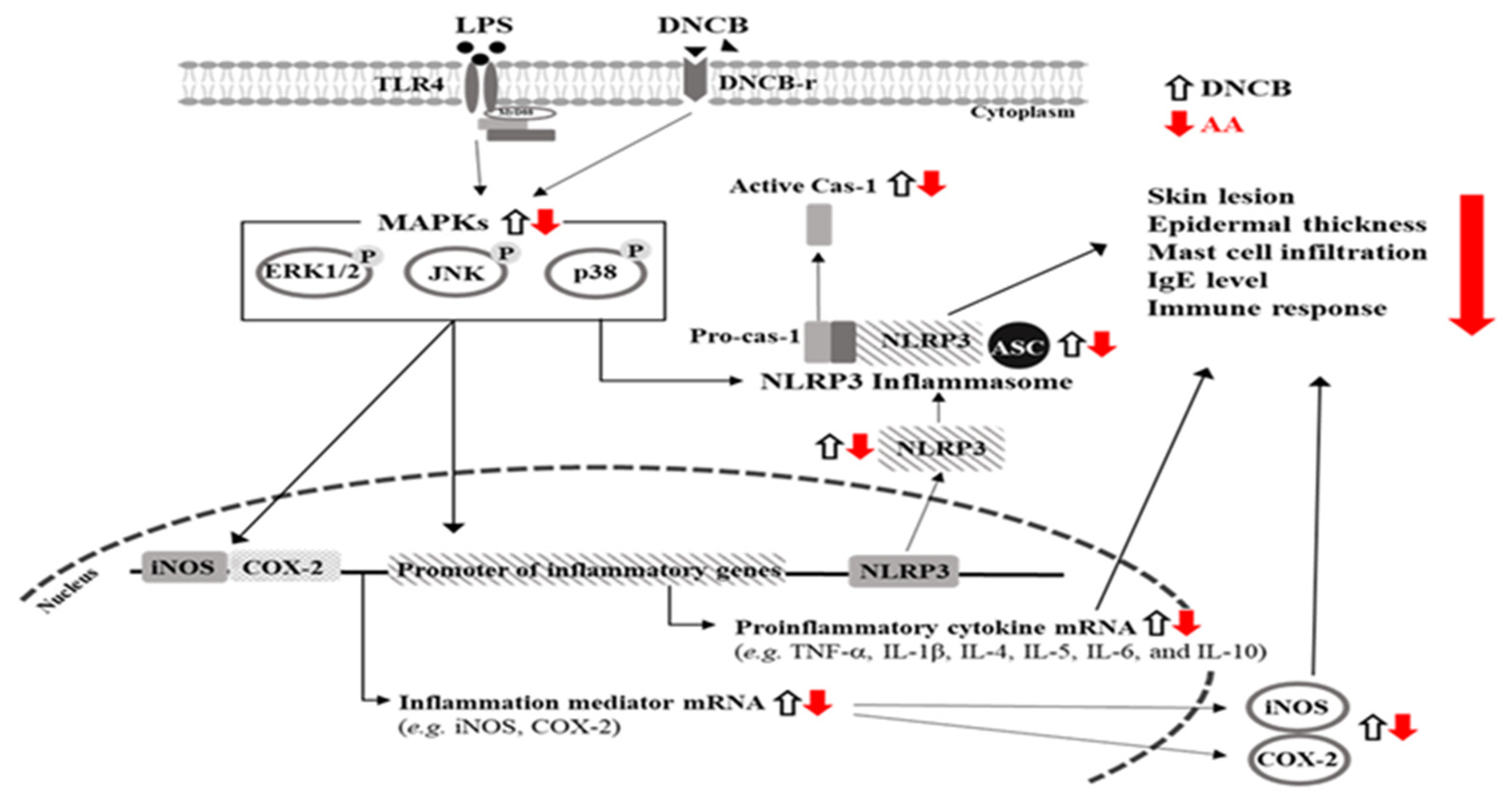 Pharmaceuticals 16 00407 g015 Pharmaceuticals 16 00407 g015