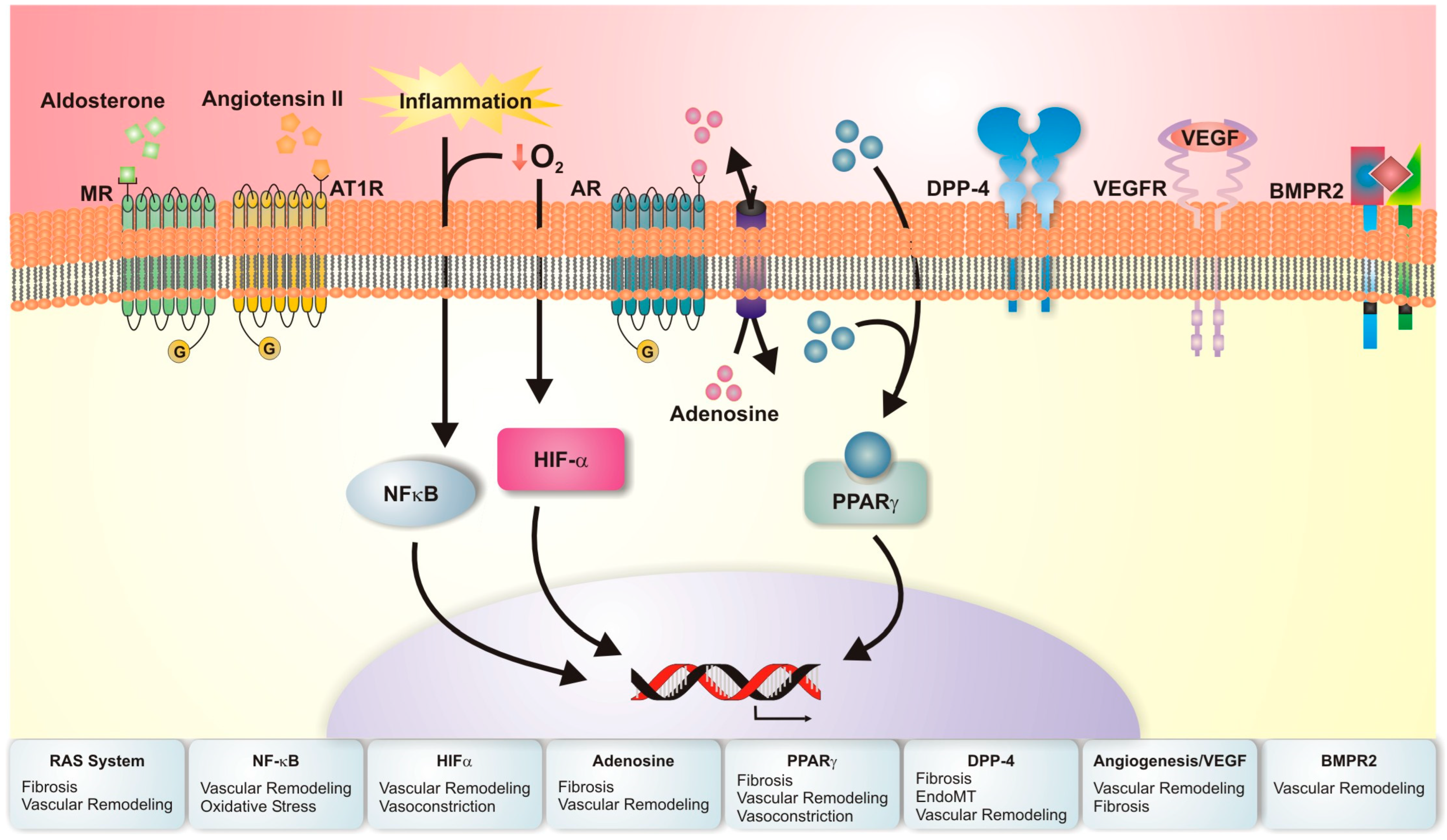 Pharmaceuticals 16 00418 g003