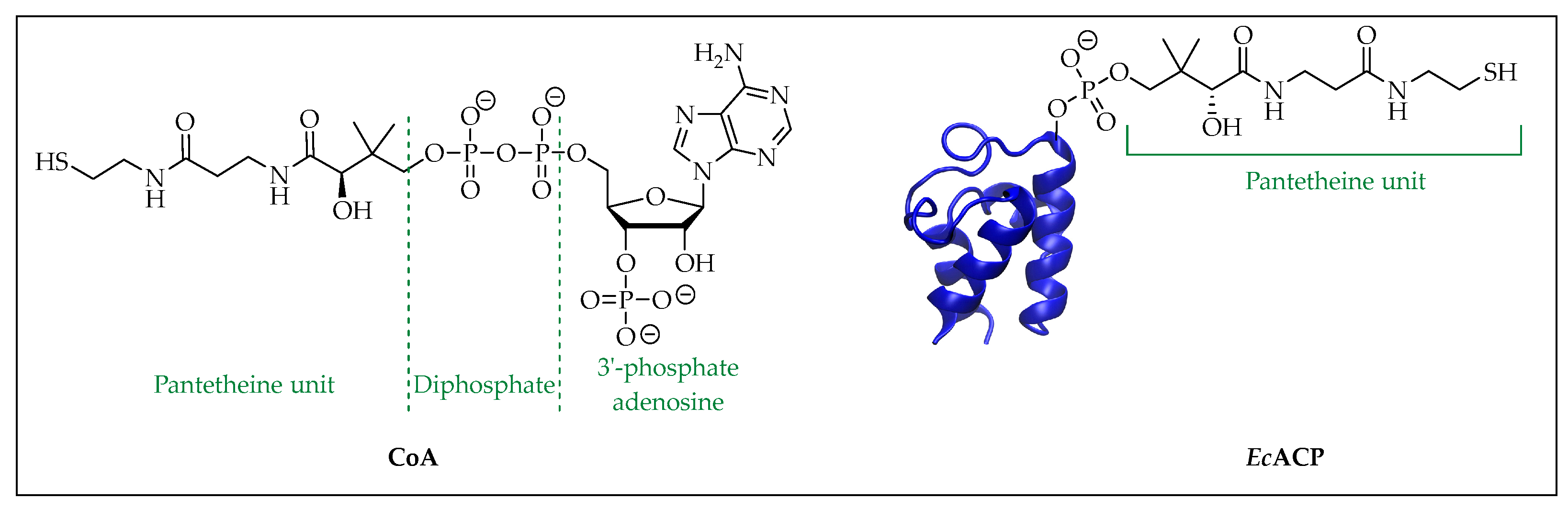Pharmaceuticals 16 00425 g001 Pharmaceuticals 16 00425 g001