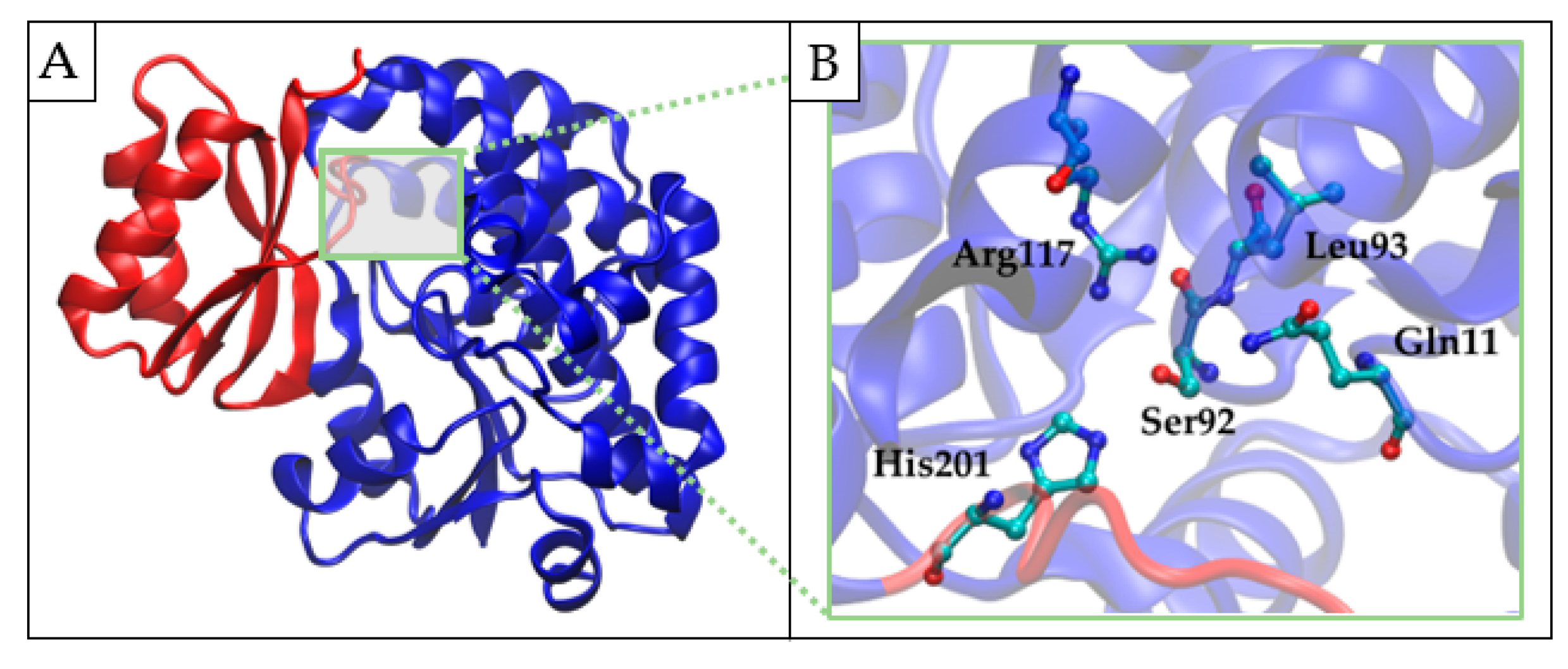Pharmaceuticals 16 00425 g002 Pharmaceuticals 16 00425 g002