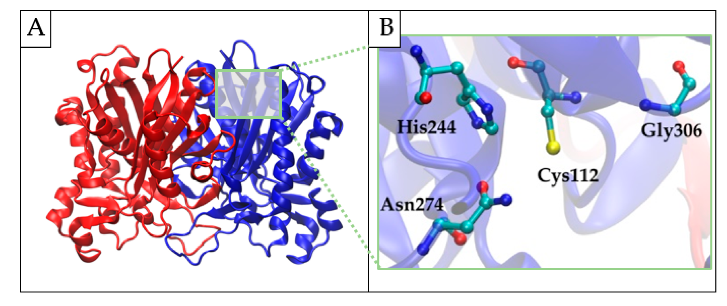 Pharmaceuticals 16 00425 g004 Pharmaceuticals 16 00425 g004