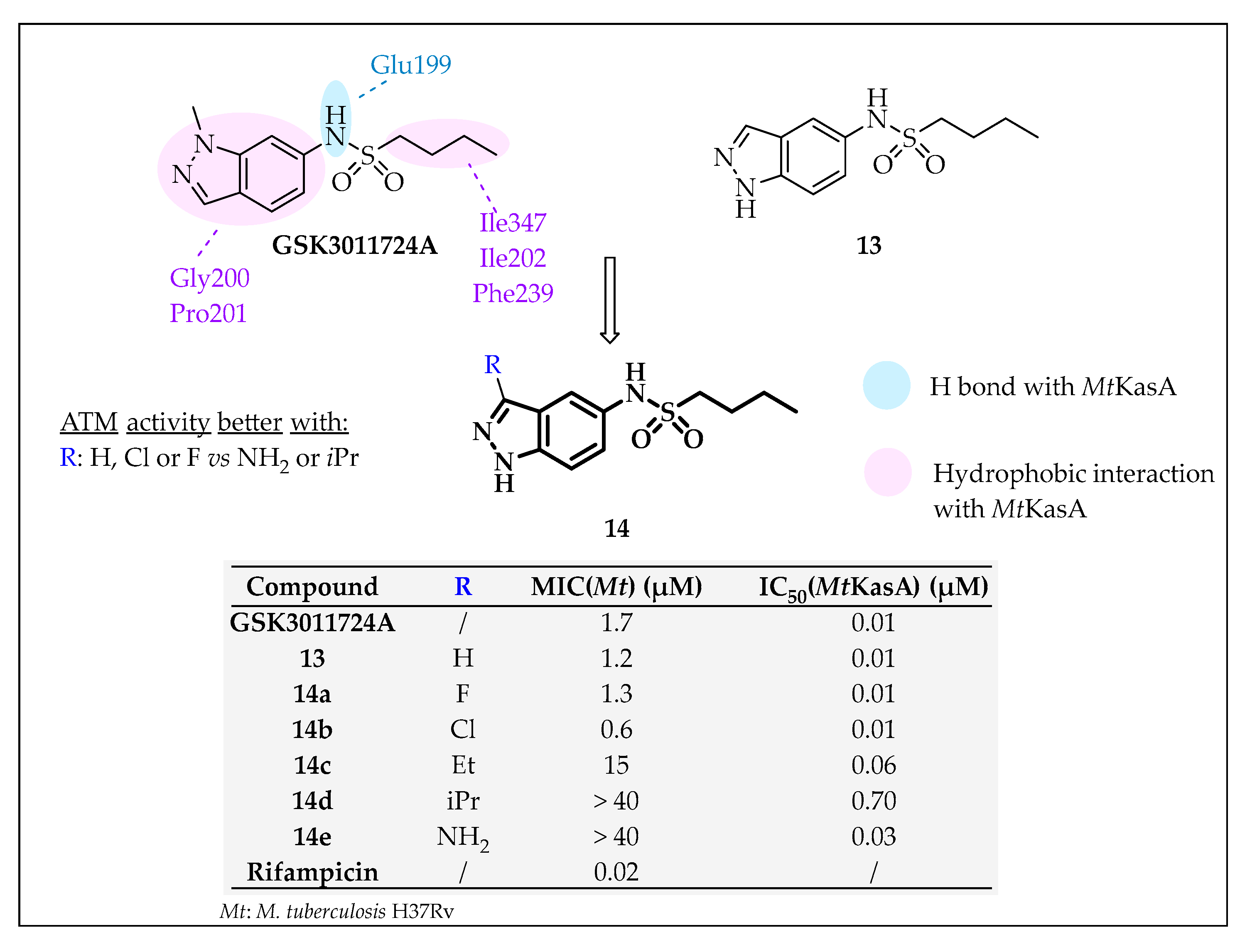 Pharmaceuticals 16 00425 g013 Pharmaceuticals 16 00425 g013