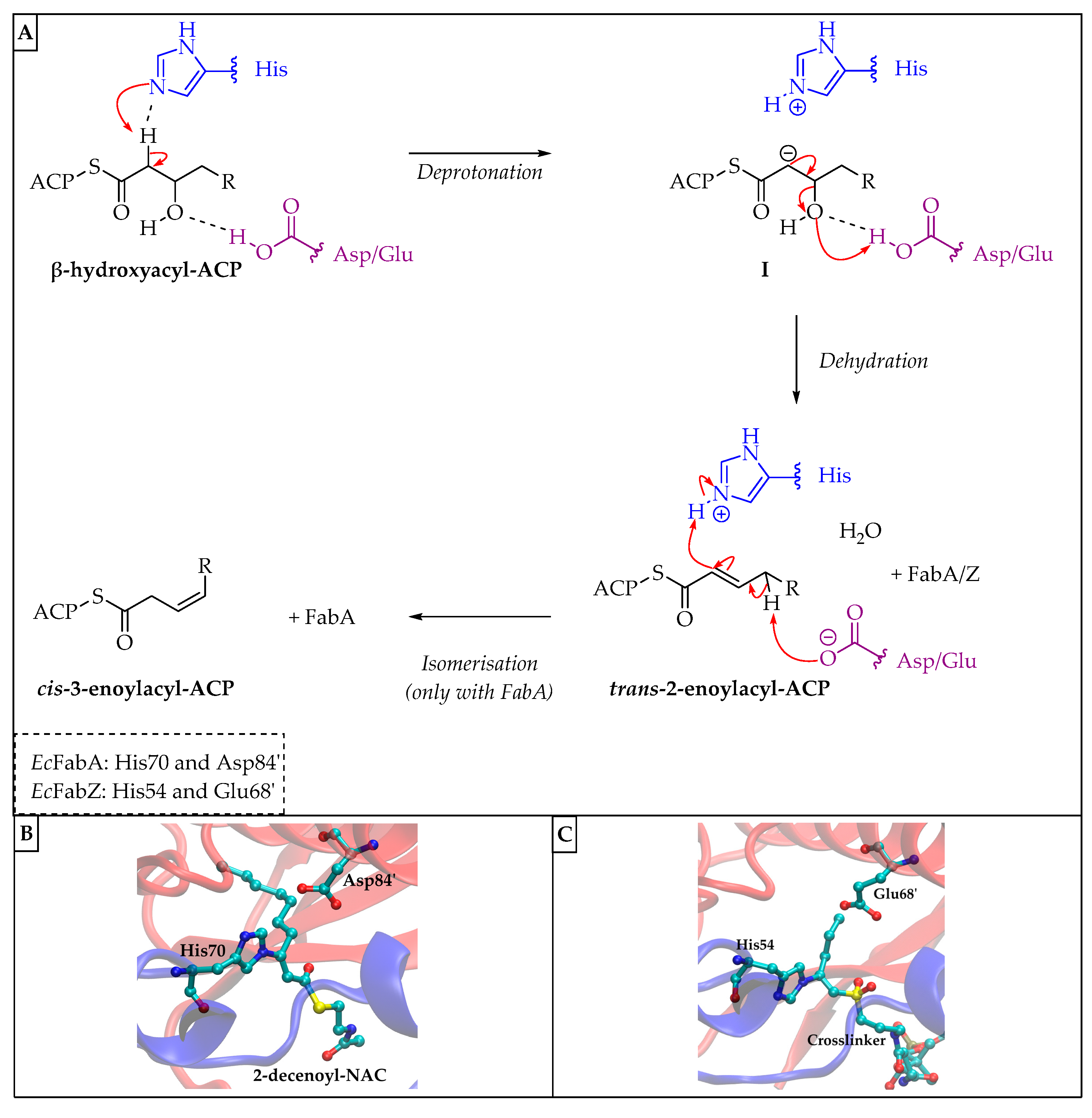 Pharmaceuticals 16 00425 g021 Pharmaceuticals 16 00425 g021