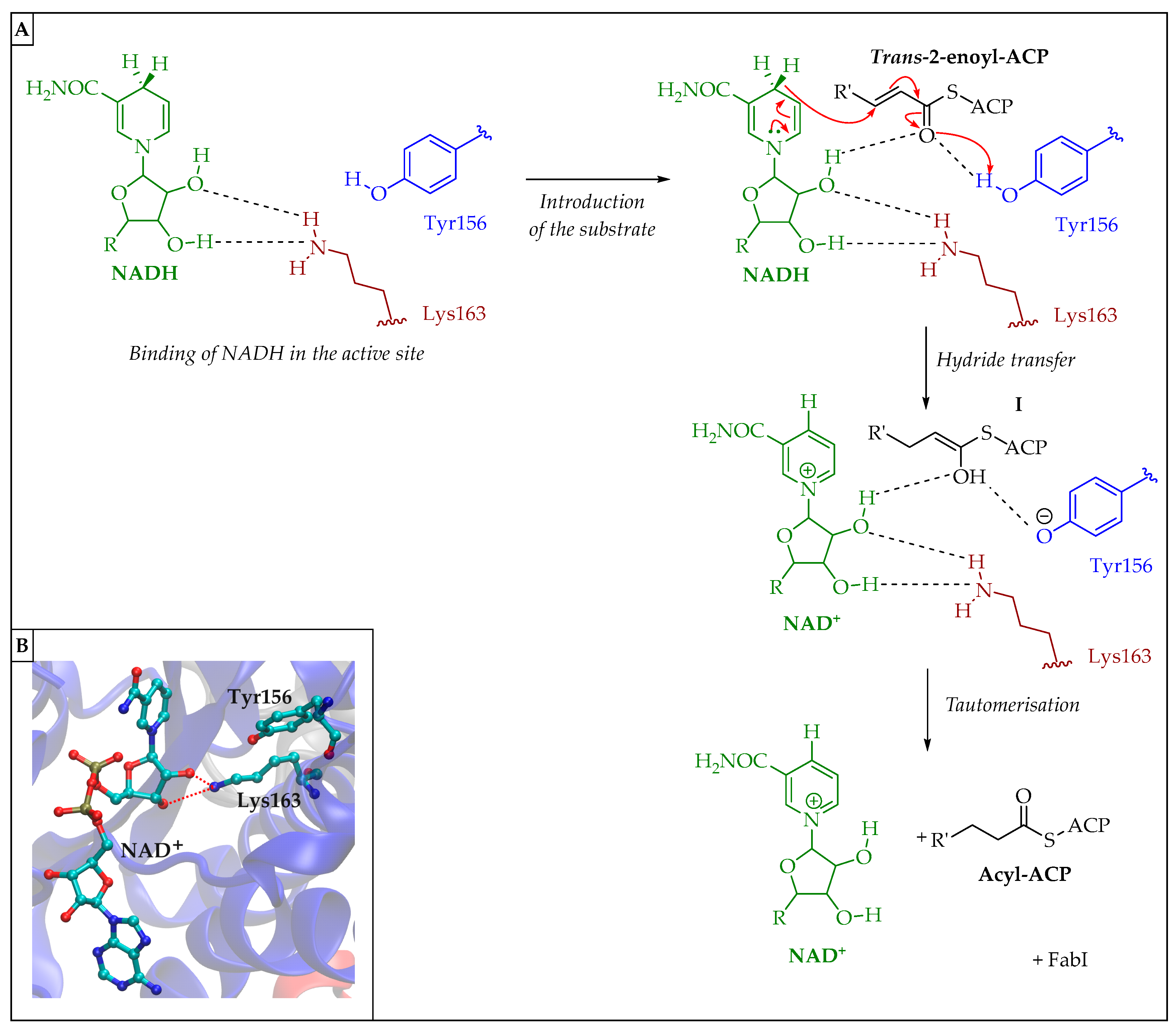 Pharmaceuticals 16 00425 g025 Pharmaceuticals 16 00425 g025