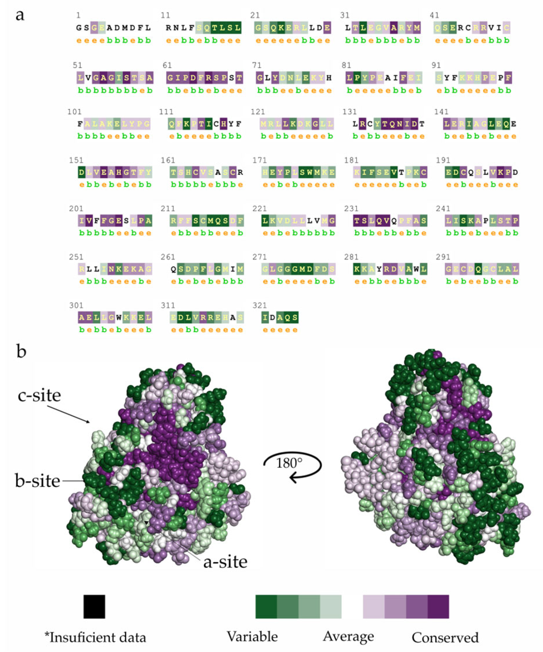 Pharmaceuticals 16 00428 g001