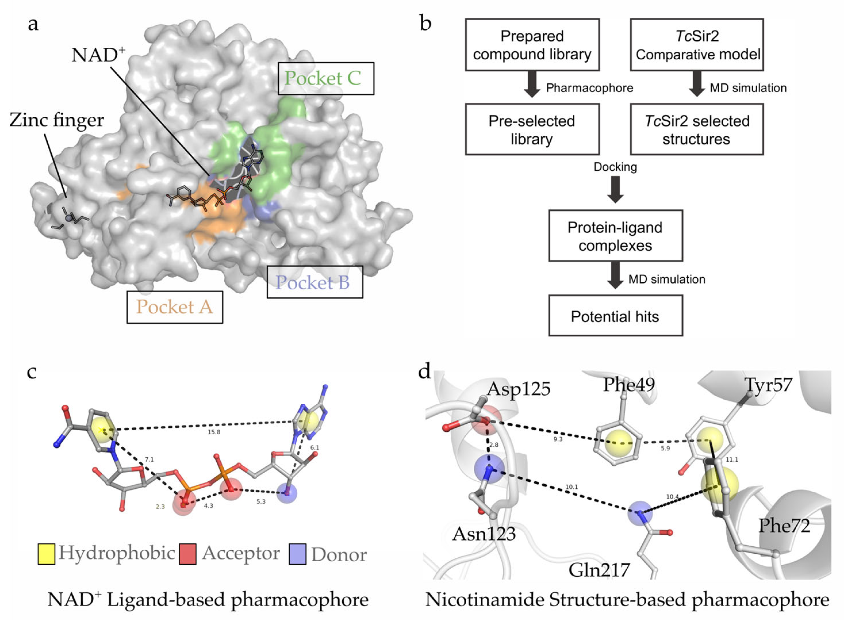 Pharmaceuticals 16 00428 g003