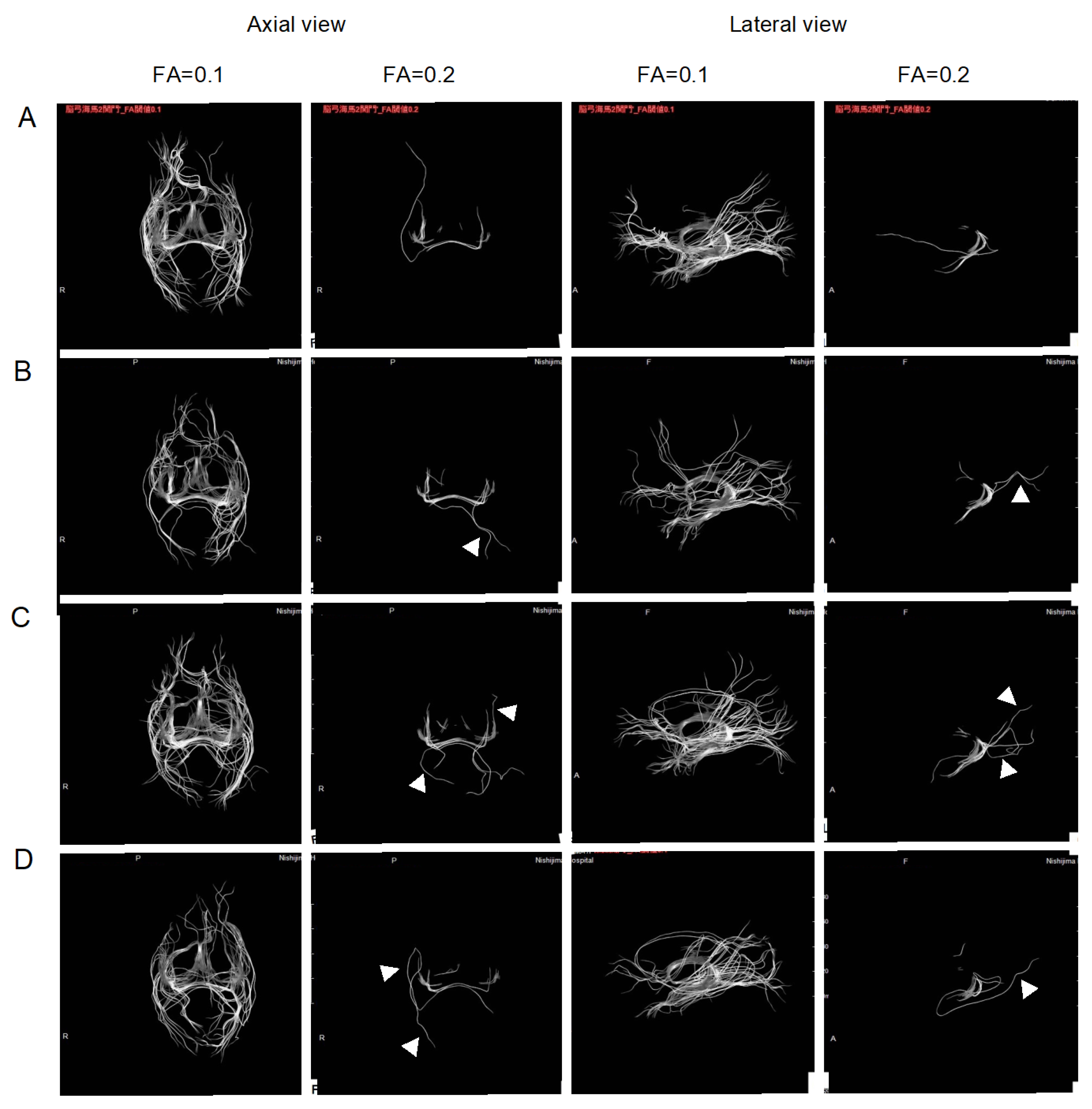 Pharmaceuticals 16 00434 g003a Pharmaceuticals 16 00434 g003a