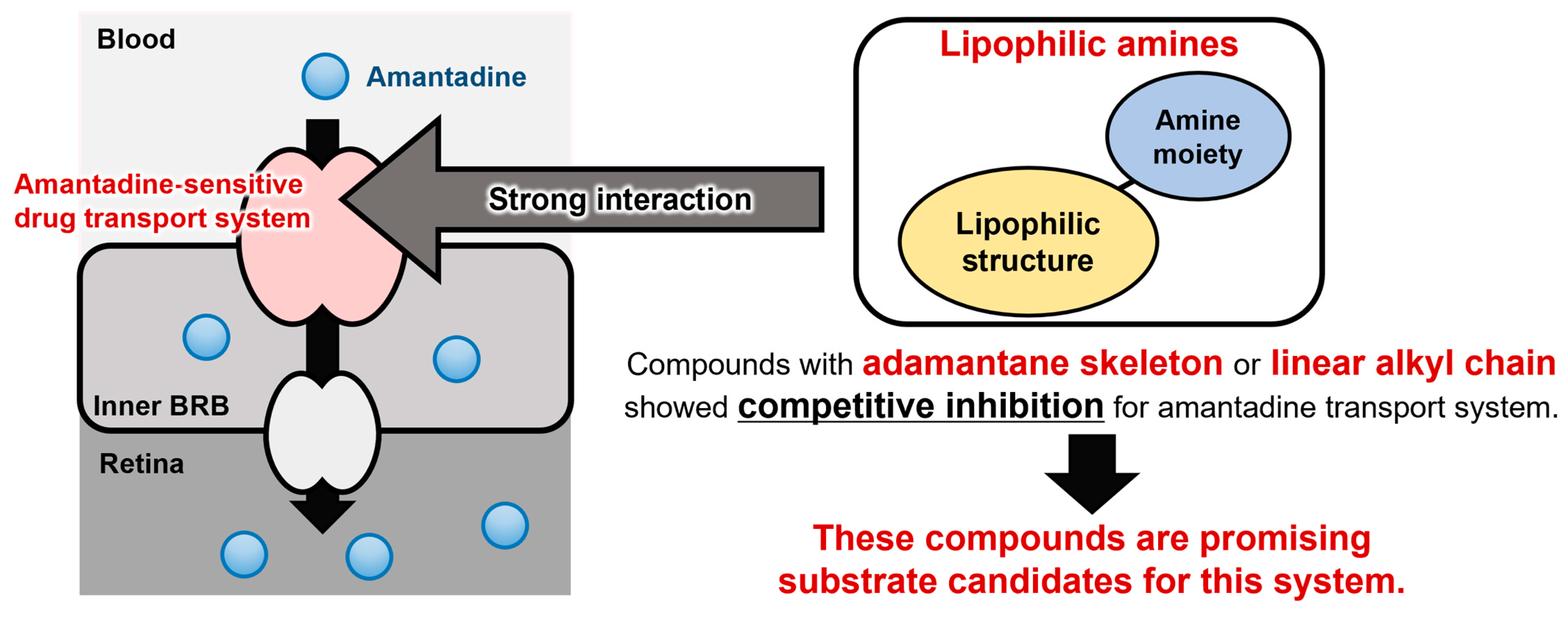 Pharmaceuticals 16 00435 g005 Pharmaceuticals 16 00435 g005