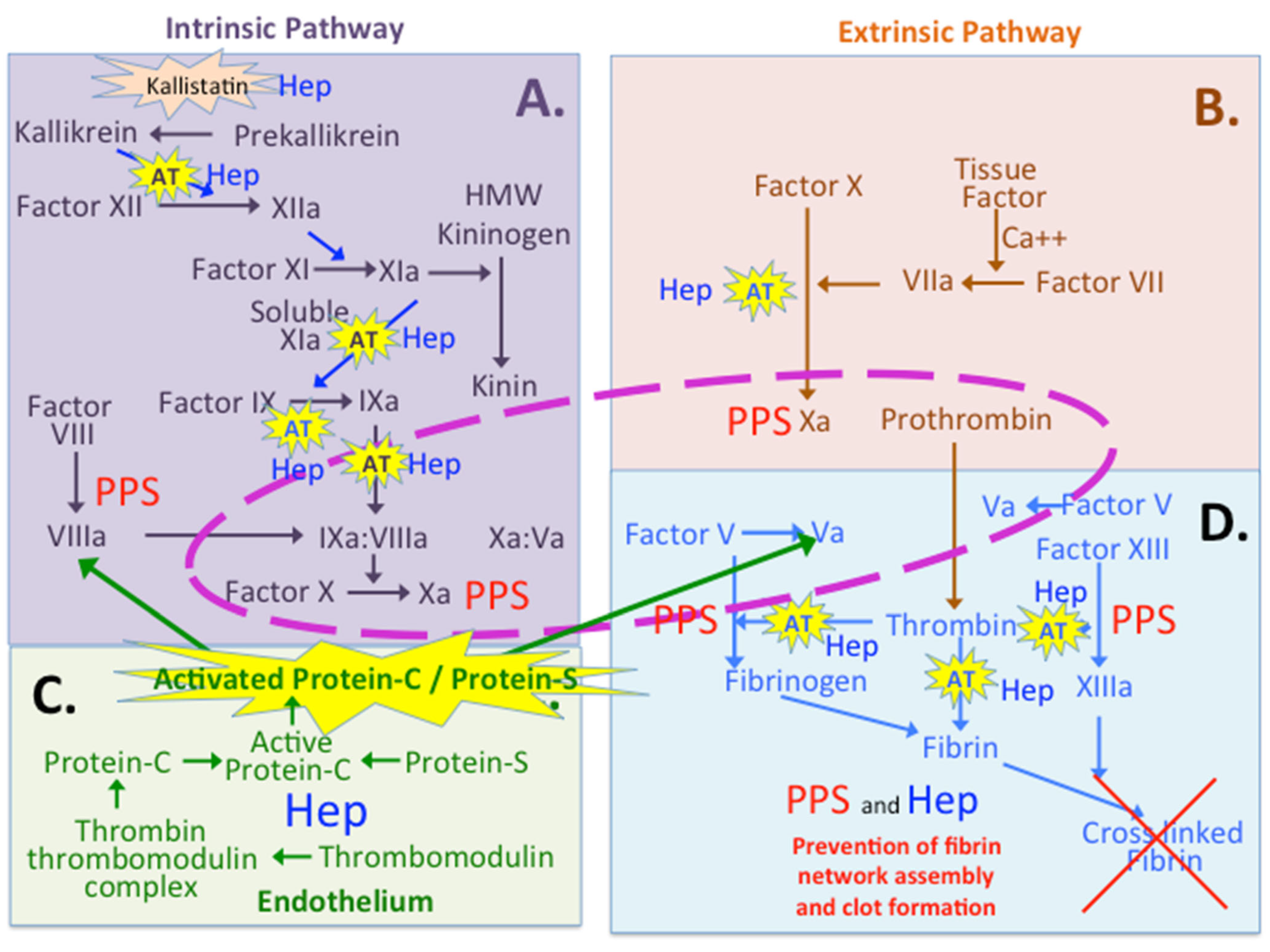 Pharmaceuticals 16 00437 g004