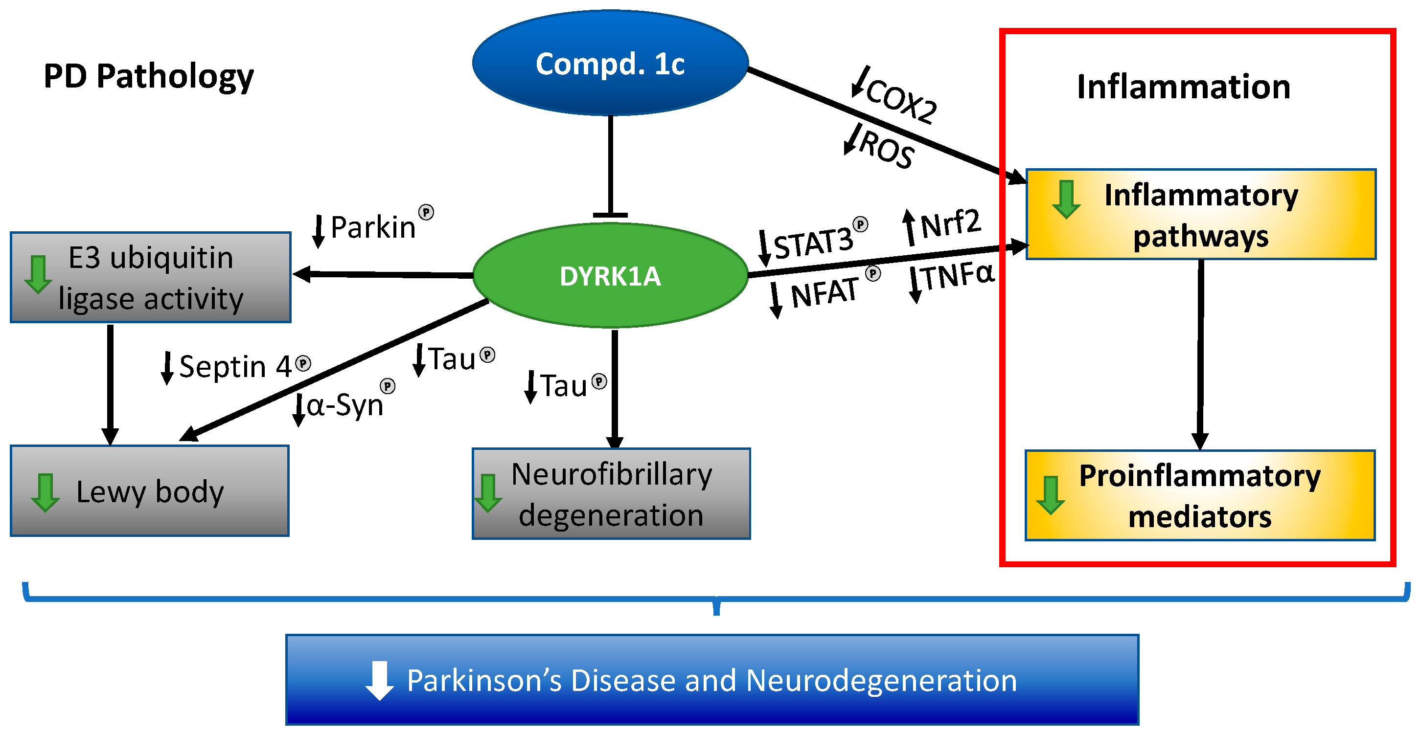 Pharmaceuticals 16 00443 g004 Pharmaceuticals 16 00443 g004