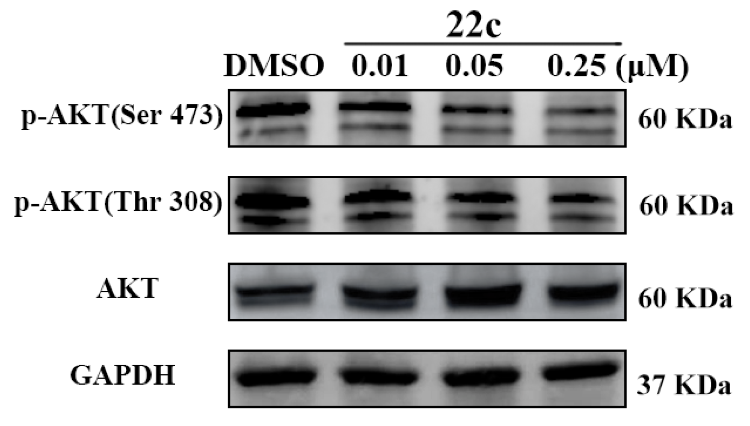 Pharmaceuticals 16 00461 g003 Pharmaceuticals 16 00461 g003