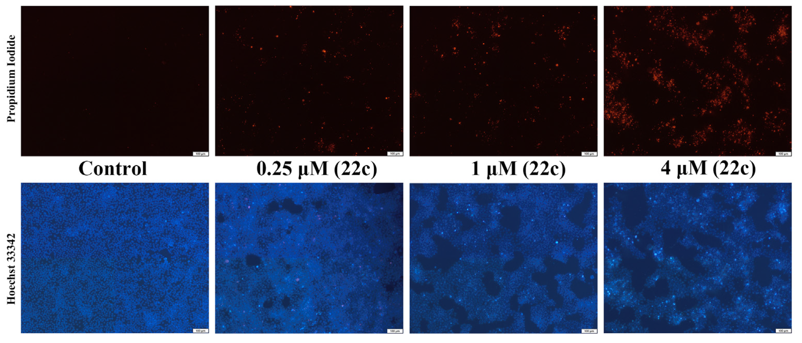 Pharmaceuticals 16 00461 g006 Pharmaceuticals 16 00461 g006