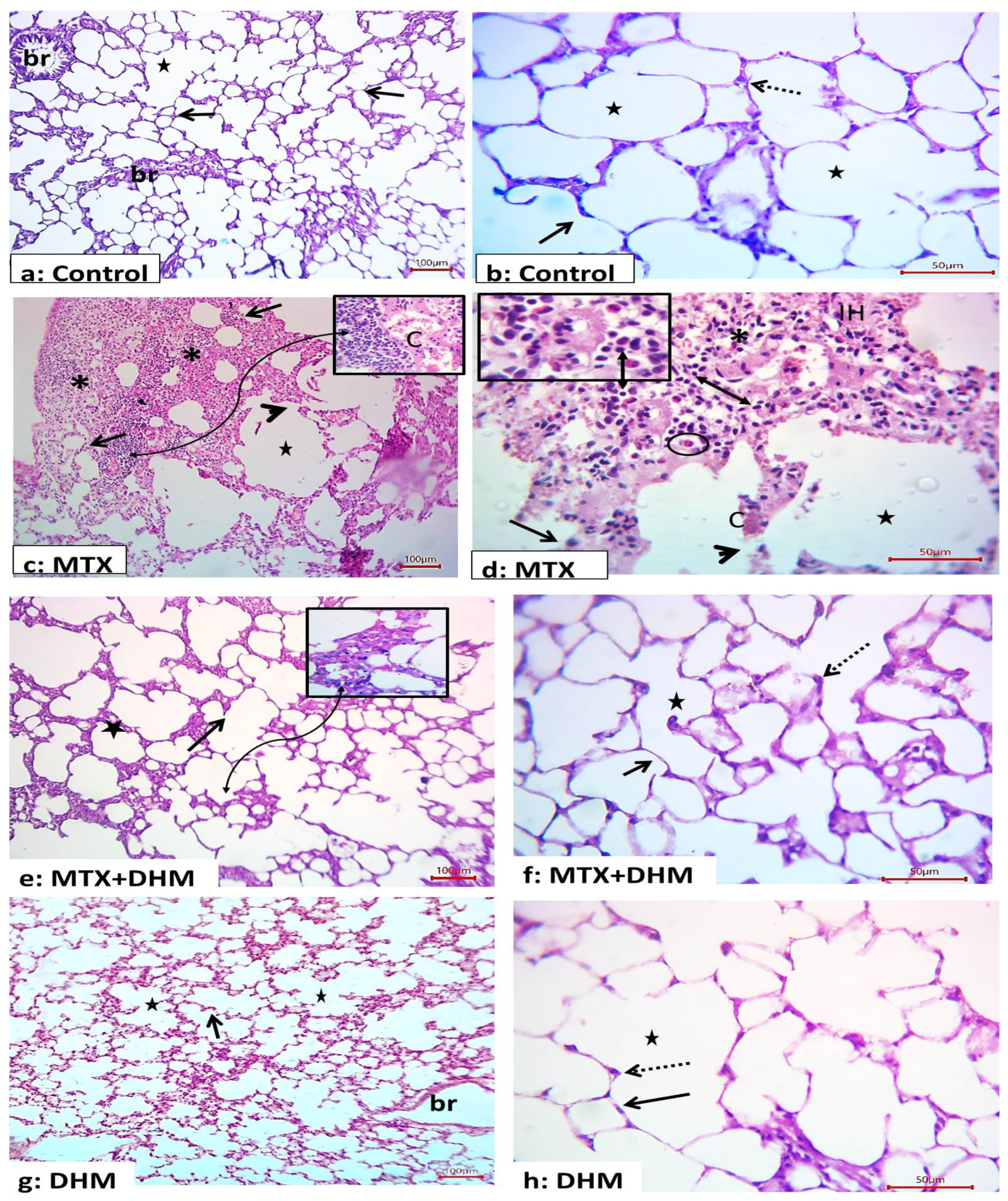 Pharmaceuticals 16 00481 g001