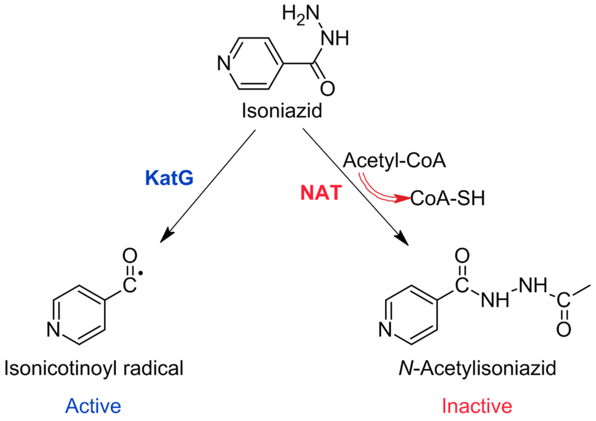 Pharmaceuticals 16 00484 g002