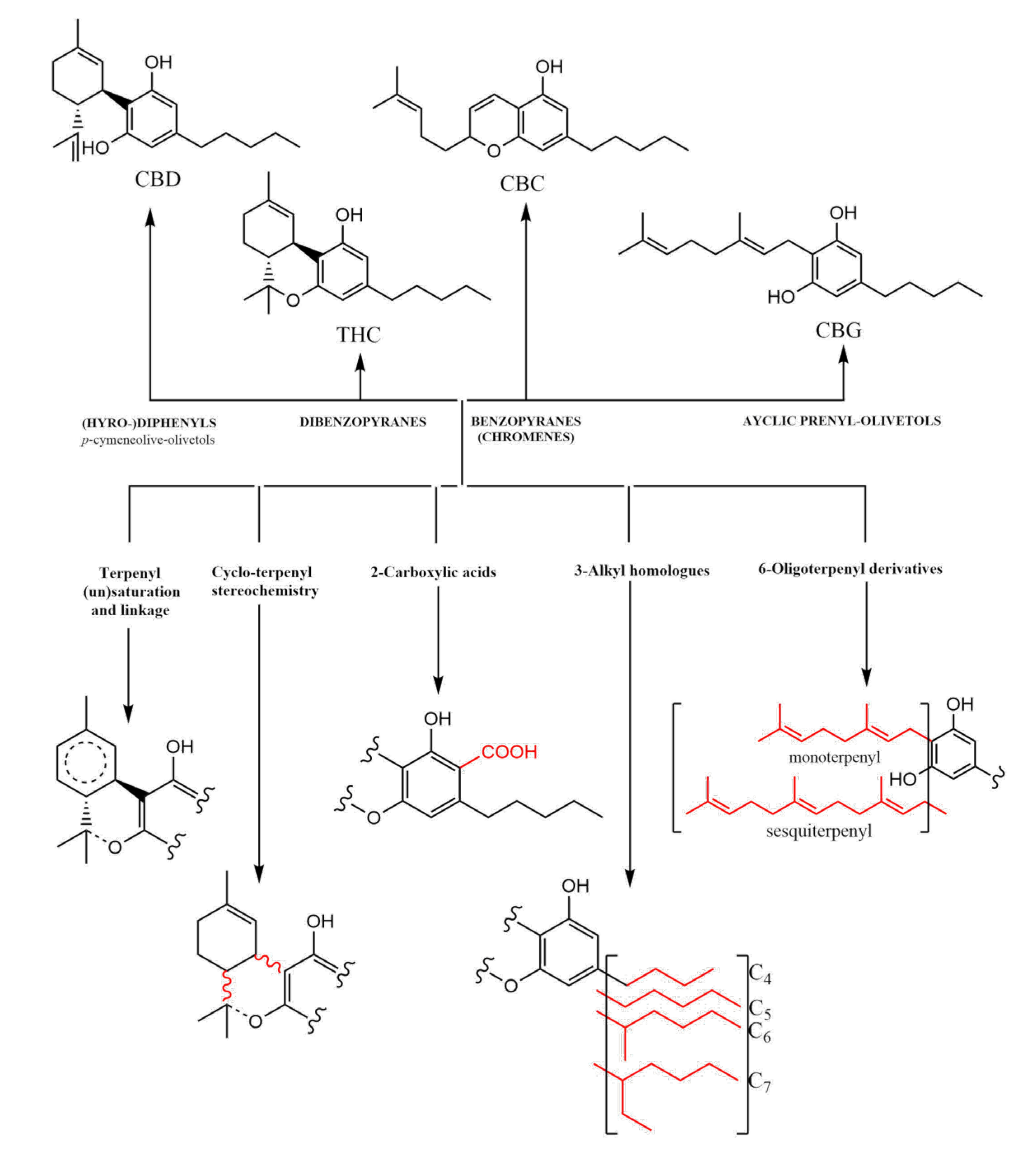 Pharmaceuticals 16 00487 g001 Pharmaceuticals 16 00487 g001
